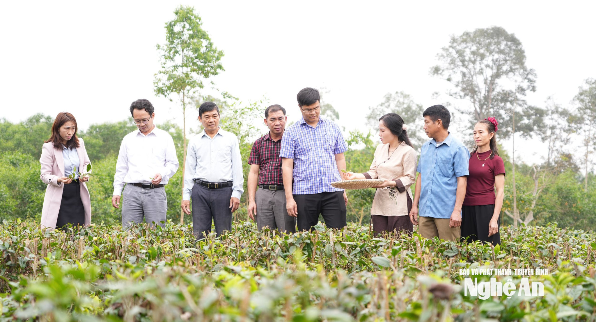 Lê Thảo My trao đổi với người dân dịa phương về việc phát triển các loại trà từ cây chè. Ảnh KL