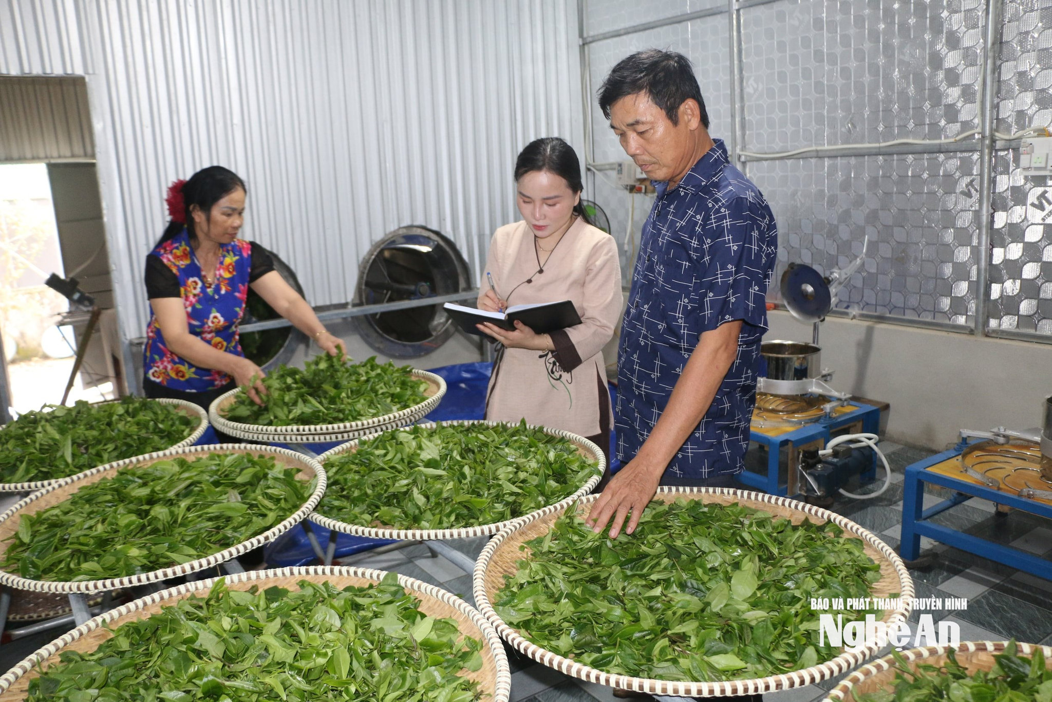 Vợ chồng Bí thư chi bộ xóm Cao Sơn 1 Phan Sỹ Đạo trao đổi với Lê Thảo My về. chất lượng chè Gay trước khi chế biến thành trà. Ảnh KL