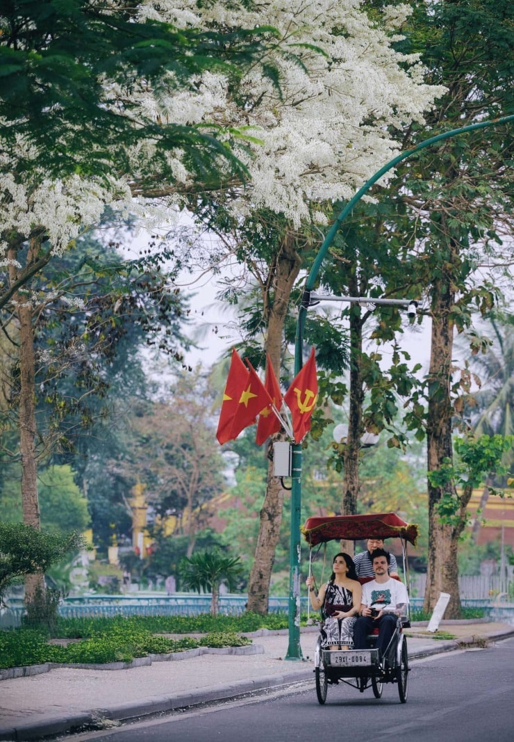 Du khách tham quan và chụp ảnh cùng hoa sưa