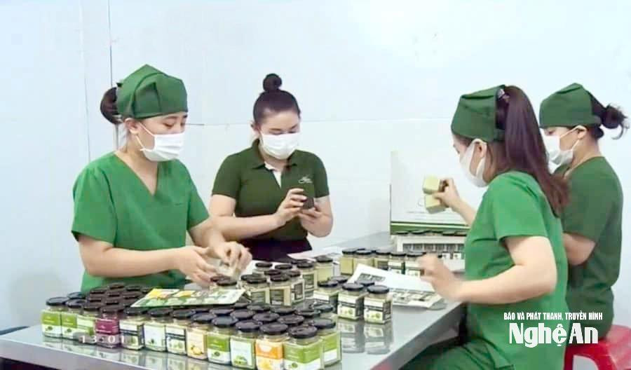 Các mô hình kinh tế do phụ nữ làm chủ ngày càng phát triển bền vững, góp phần nâng cao giá trị sản phẩm OCOP và thúc đẩy kinh tế tập thể tại Nghệ An. Ảnh: Thanh Quỳnh