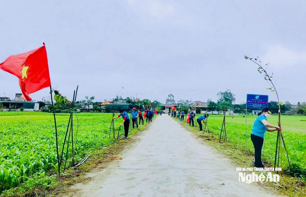 Một tuyến đường Xanh Sạch Đẹp do Hội Phụ nữ đảm nhận chăm sóc