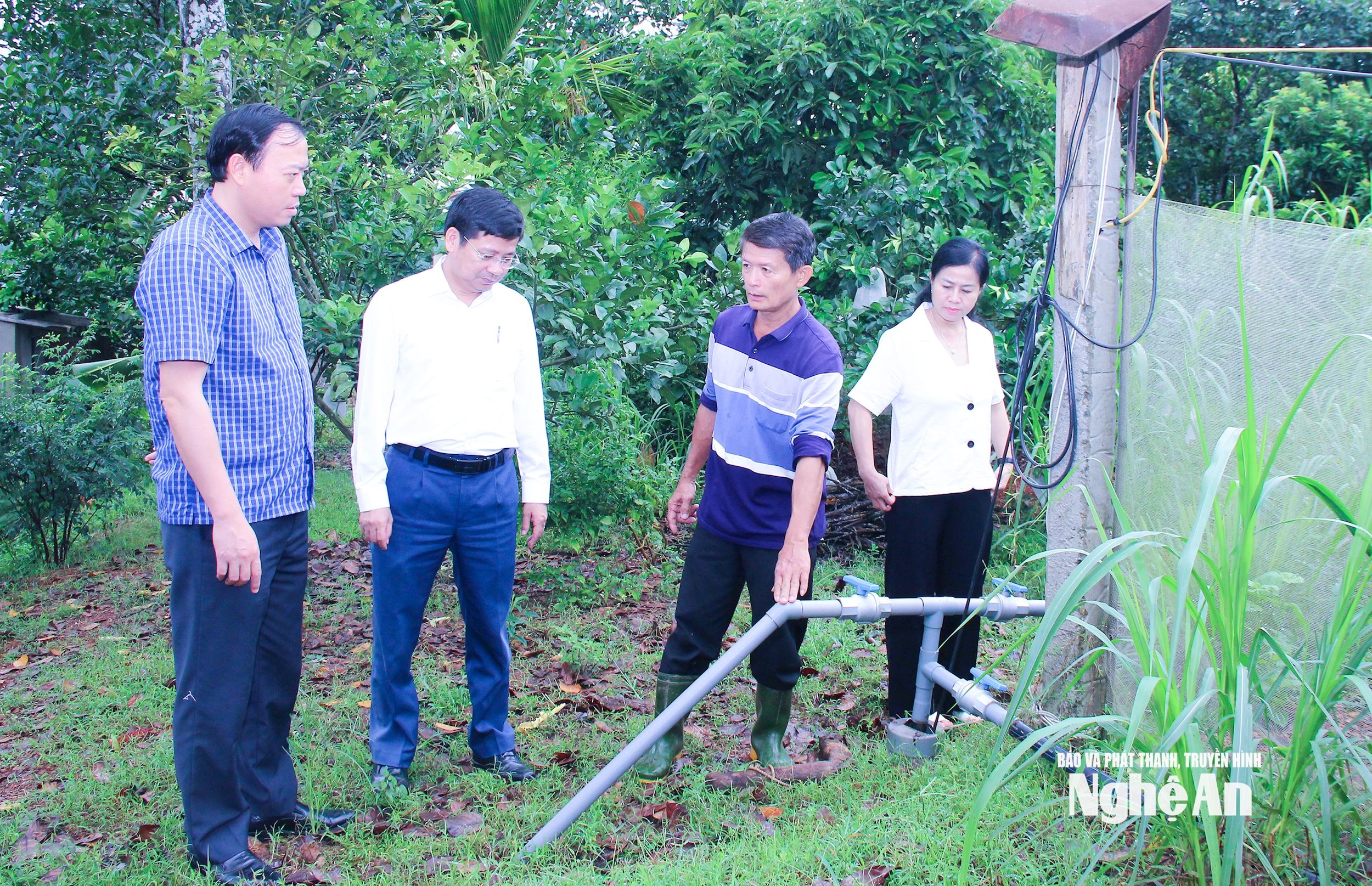 Các Ban HĐND tỉnh giám sát việc triển khai thực hiện Nghị quyết về chính sách hỗ trợ phát triển nông nghiệp tại xã Nam Đàn. Ảnh Mai Hoa