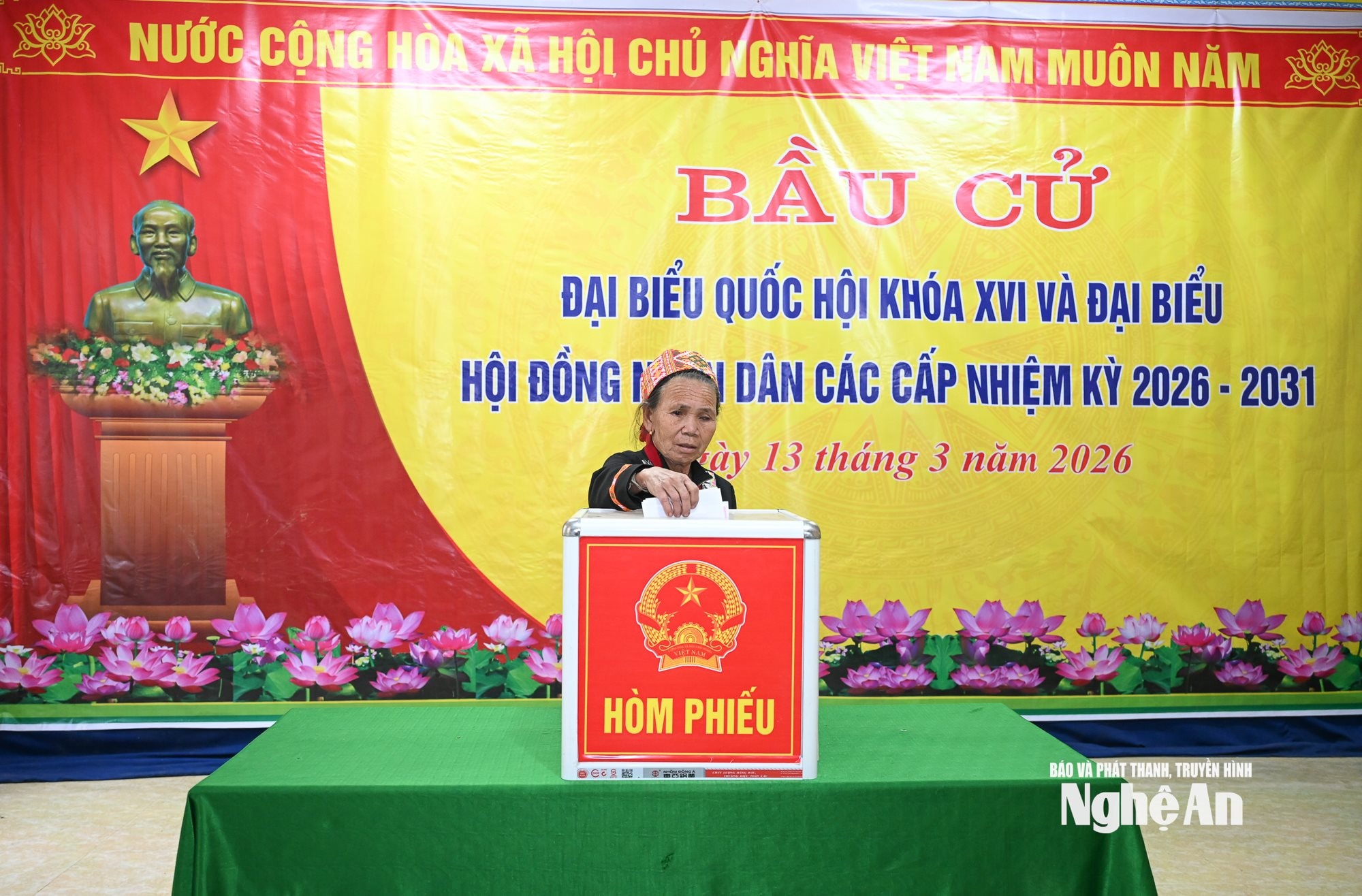 Huồi Xui9