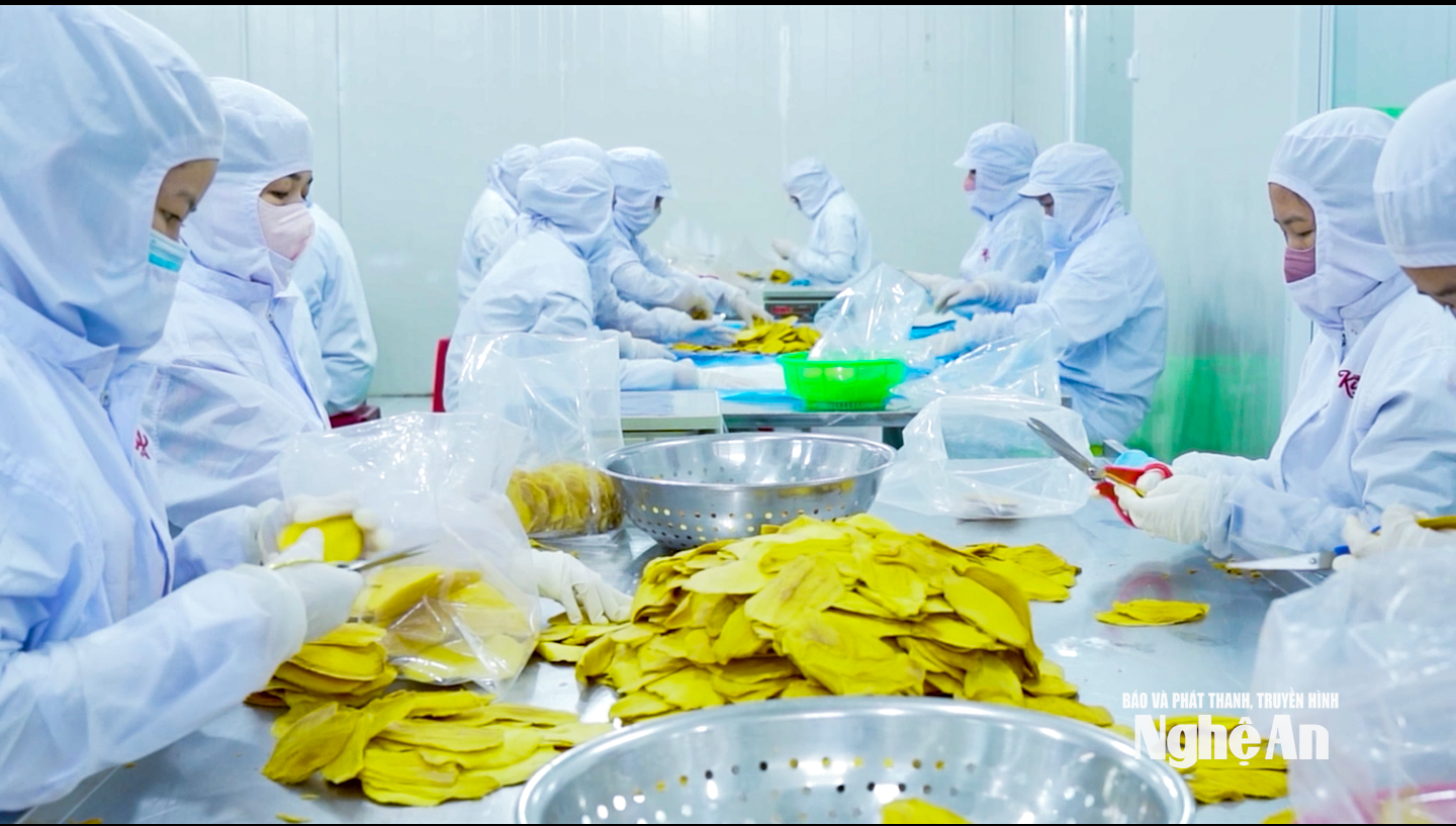 2. Hiện các nhà máy của Nafoods Gruop vẫn giữ nhịp sản xuất ổn định. Ảnh: CS