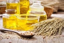 Sản lượng lúa mì tại Ấn Độ dự báo đạt mức kỷ lục trong năm 2026