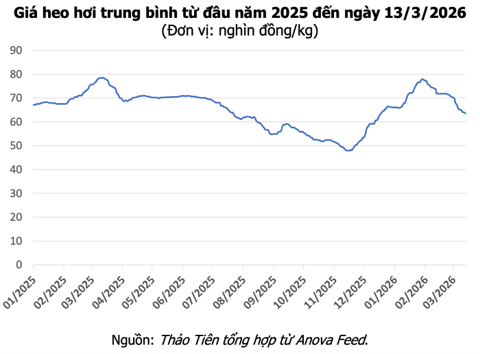 Bảng giá heo hơi hôm nay tại miền Nam ngày 13/3