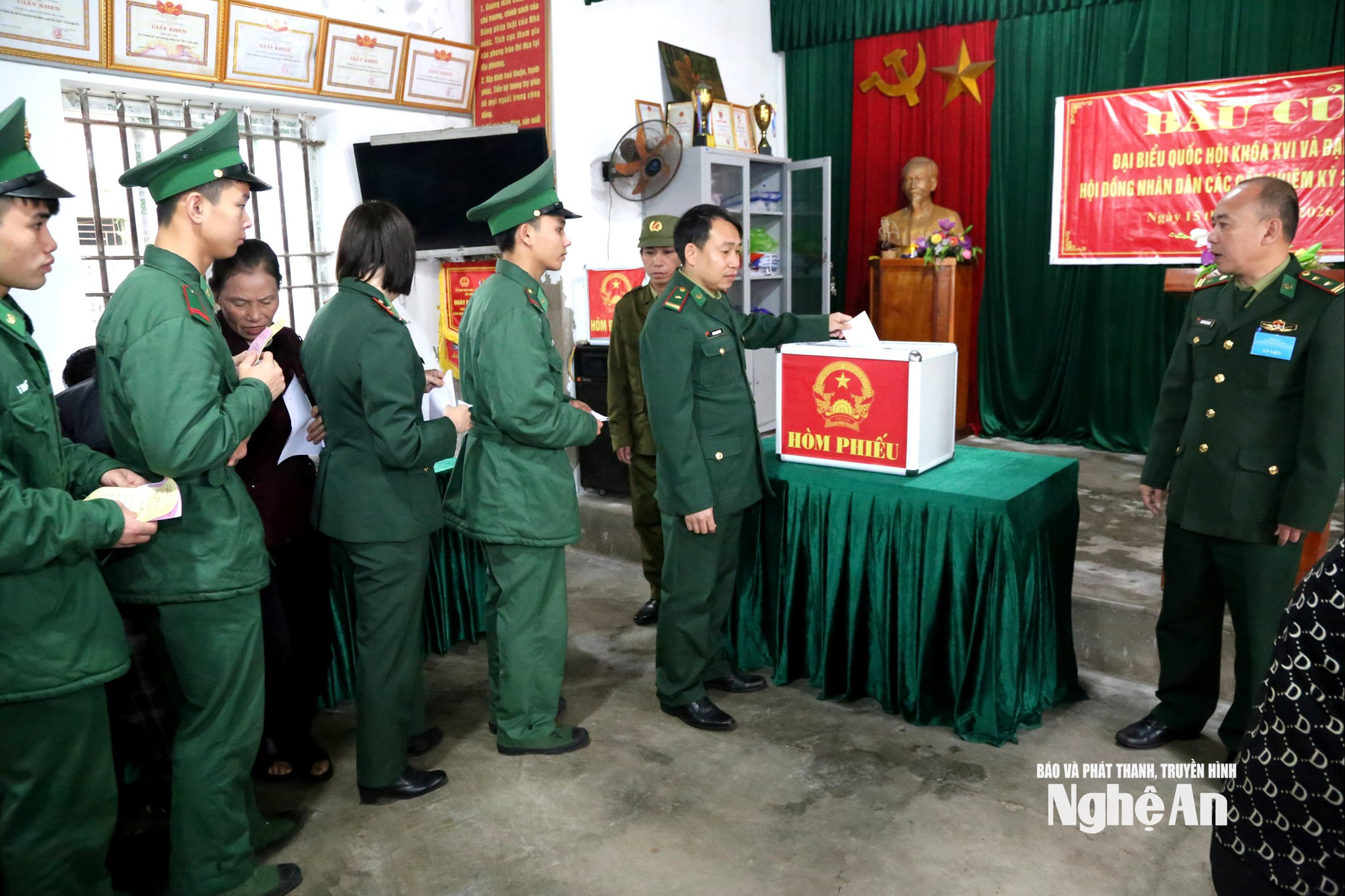 hoang phau