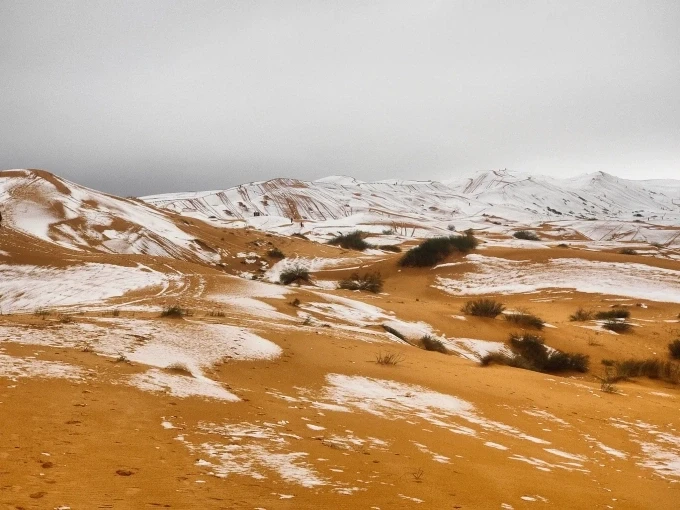 Cảnh tượng tuyết trắng bao phủ những cồn cát cam tại Sahara