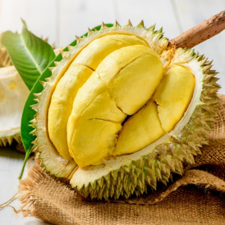 Giá sầu riêng hôm nay 16/3: Sầu Thái loại A dao động mức 140.000 đồng/kg
