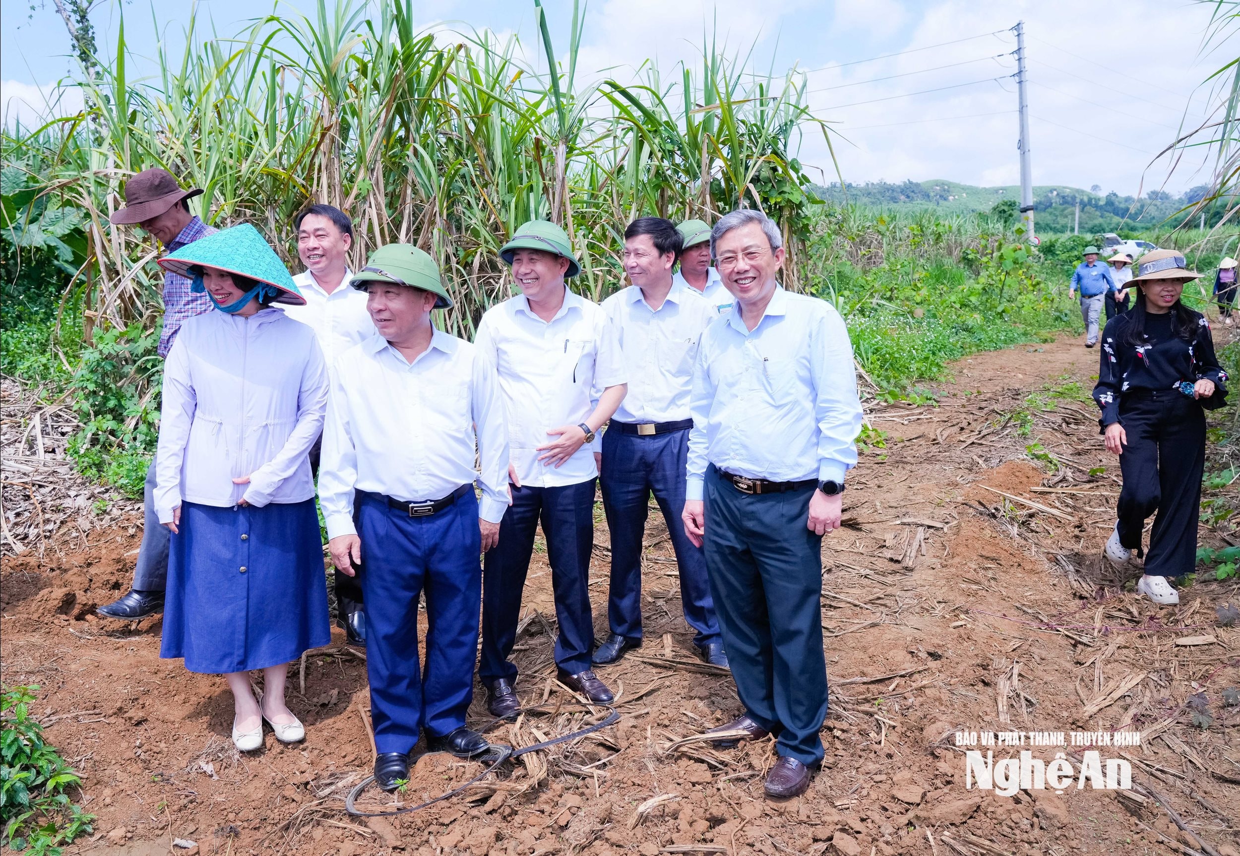  giai xuân 1