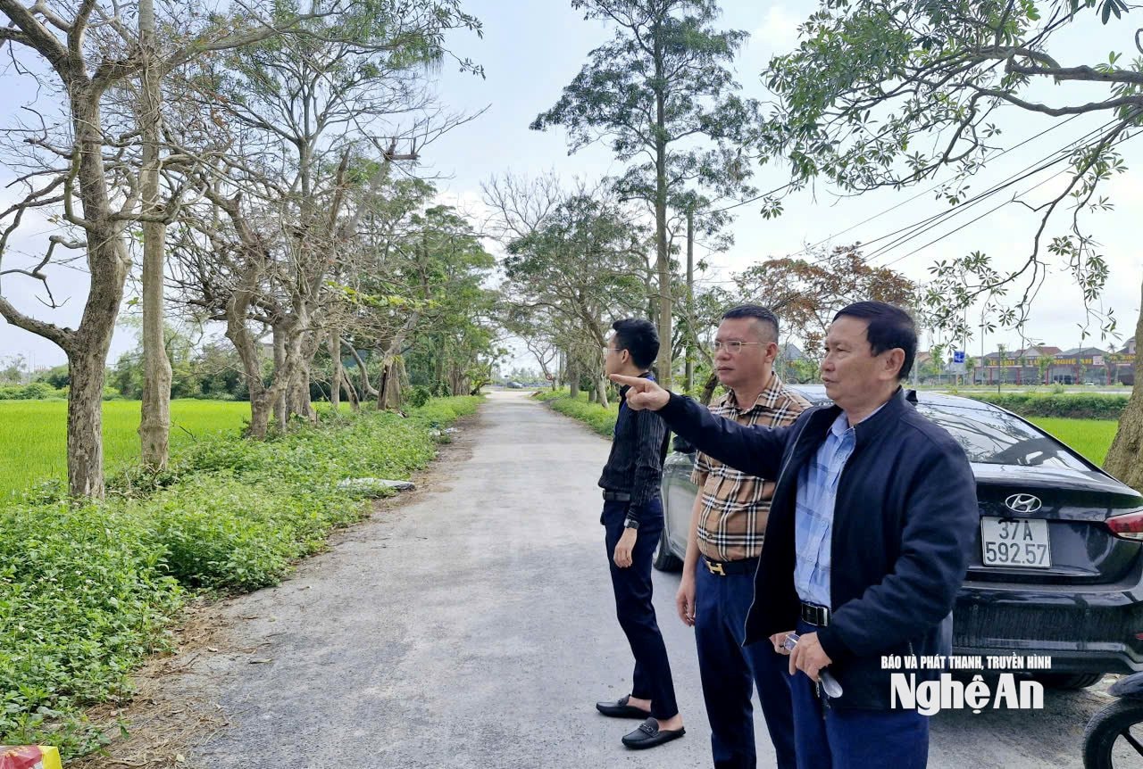 Chủ nhiệm HTX Hồng Hoa Thái, ông Phan Văn Hòa (người mang áo khoác) trao đổi với PV Báo và phát thanh, truyền hình Nghệ An về thực trạng dự án và nguyện vọng của xã viên trước thực trạng dự án treo. Ảnh: Nhật Lân