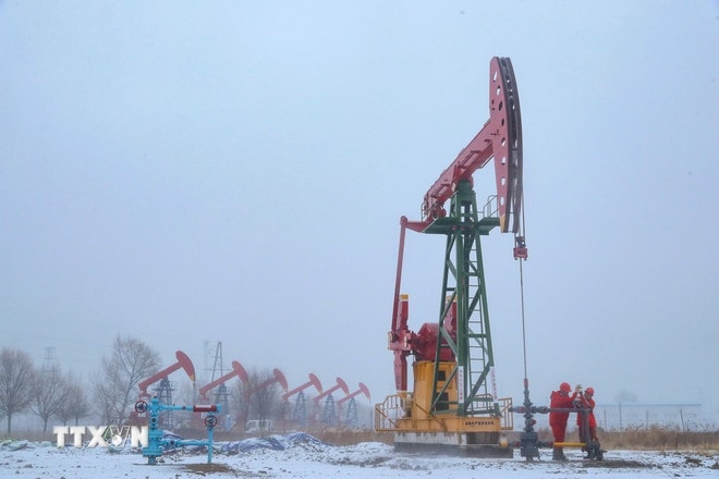 Biểu đồ điều chỉnh giá xăng dầu trong nước