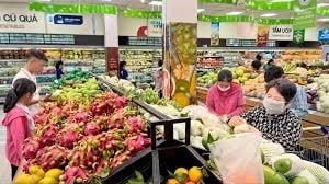 Nông dân thu hoạch dưa hấu tại ruộng trong bối cảnh giá giảm mạnh