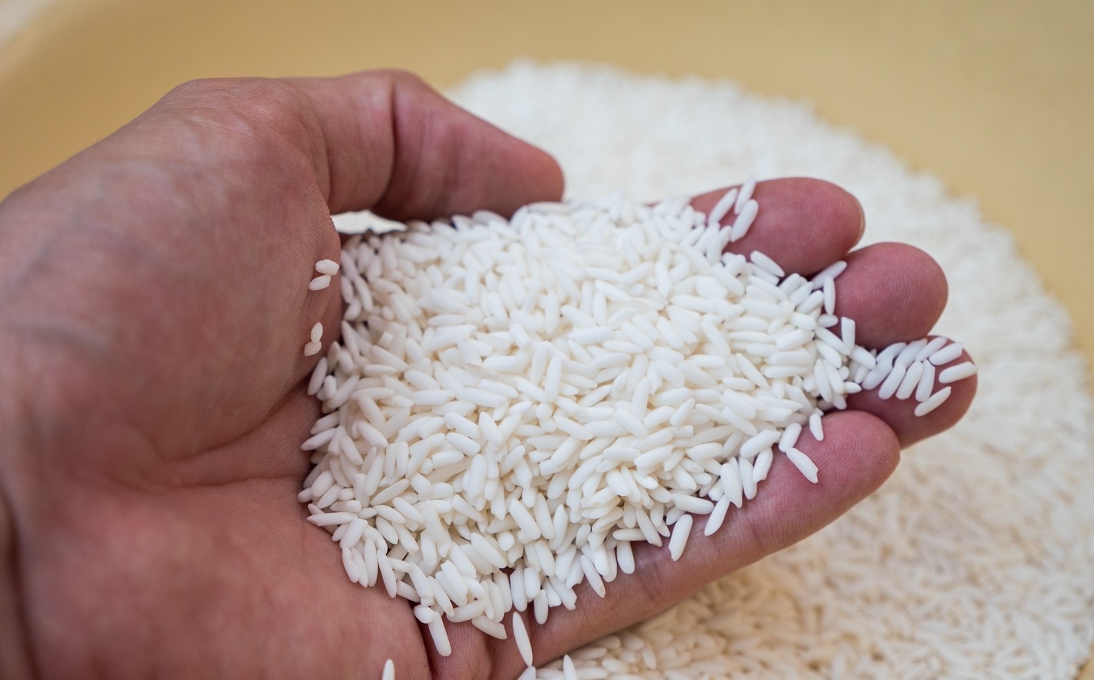 Thị trường lúa gạo tại Đồng bằng sông Cửu Long giao dịch chậm