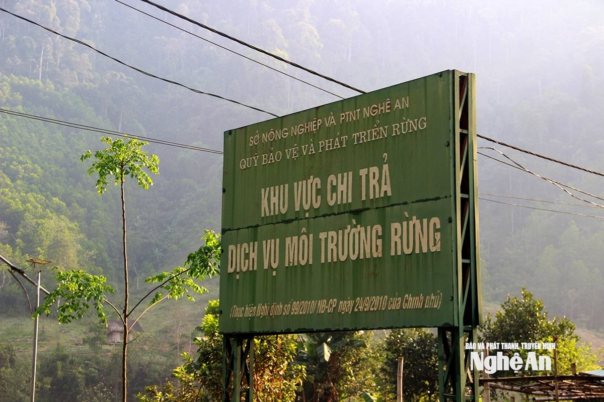 Bảo vệ rừng là nguồn thu nhập của đồng bào các dân tộc. Ảnh: Quang An