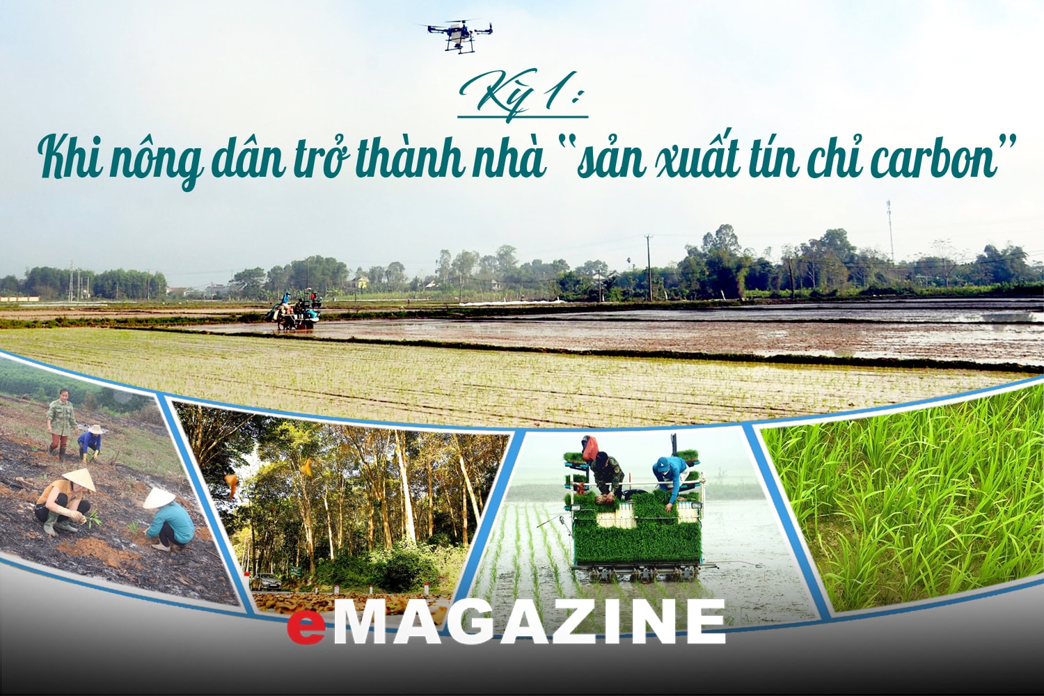 Khai mở “kho báu carbon” từ rừng và lúa: Kỳ 1: Khi nông dân trở thành nhà “sản xuất tín chỉ carbon” 