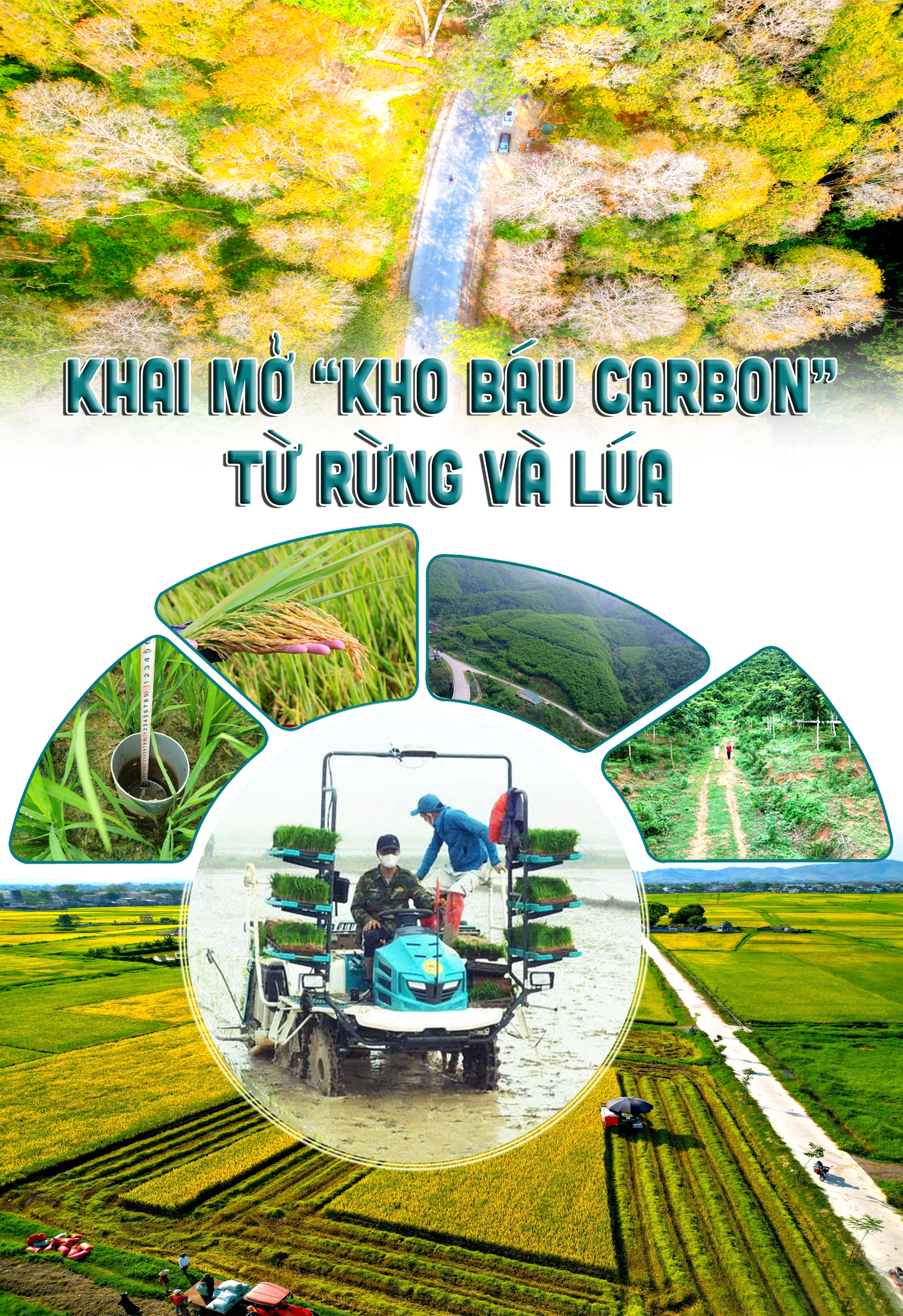 cover-tieude-chung(1).png