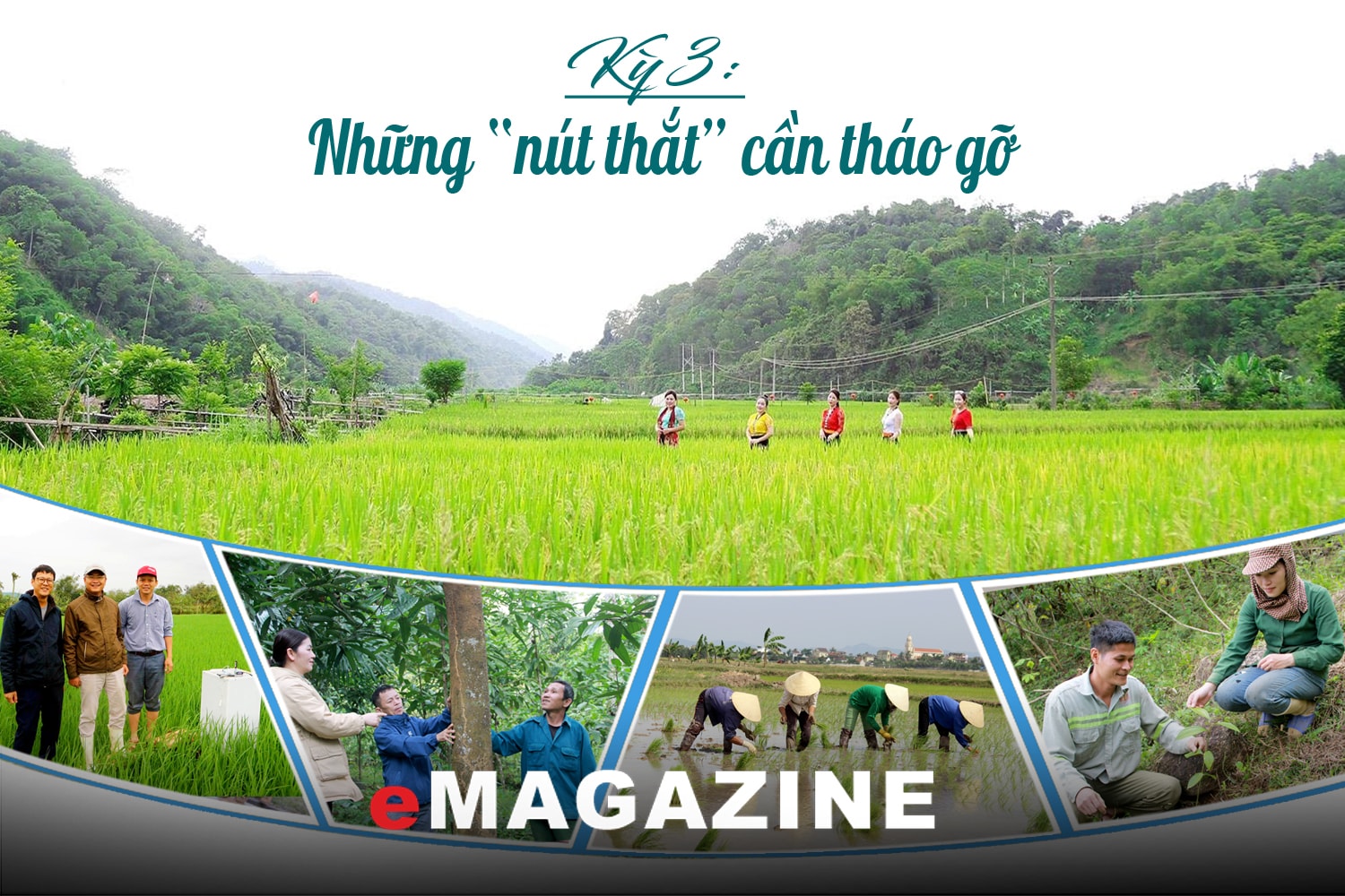 Khai mở “kho báu carbon” từ rừng và lúa: Kỳ 3: Những “nút thắt” cần tháo gỡ 