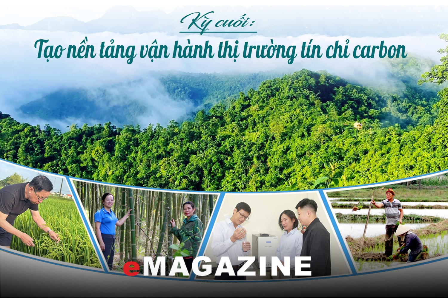 Khai mở “kho báu carbon” từ rừng và lúa: Kỳ cuối: Tạo nền tảng vận hành thị trường tín chỉ carbon 