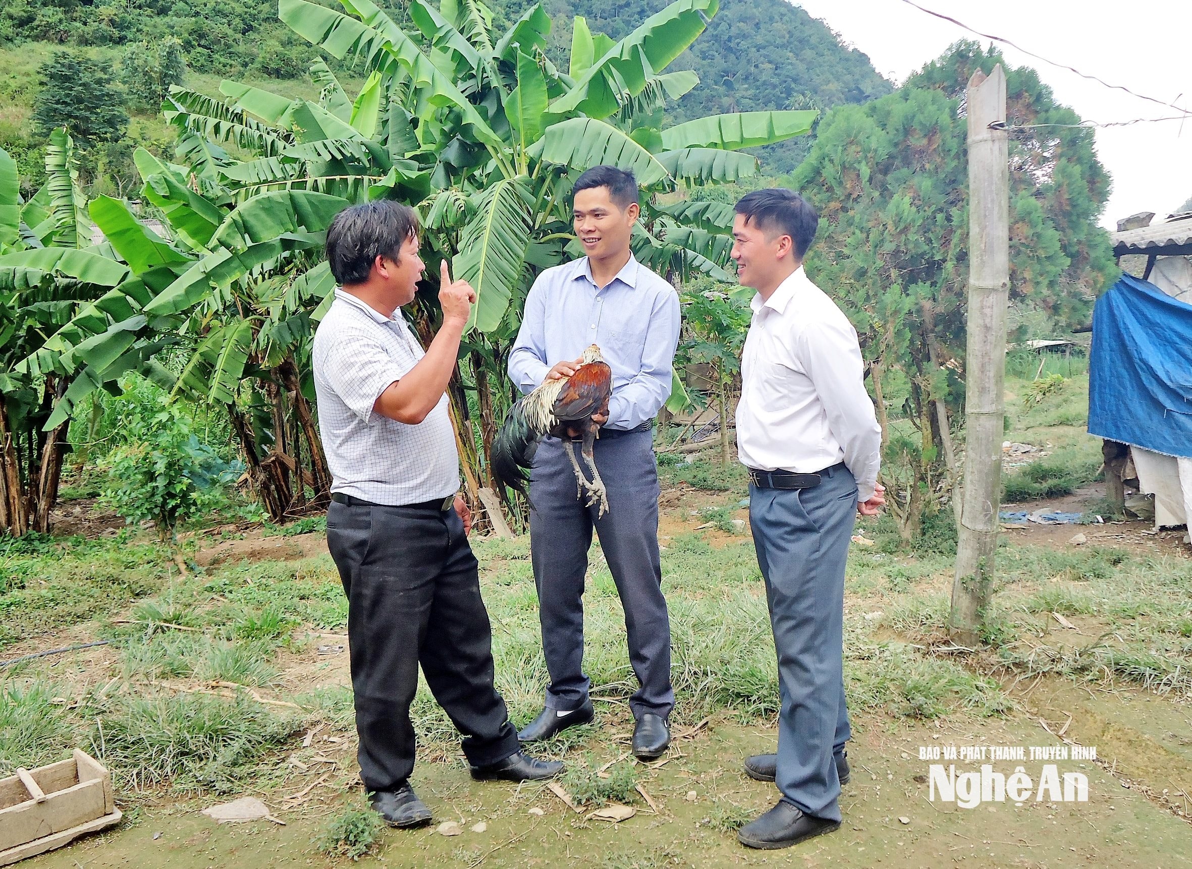 Cộng tác viên khuyến nông cơ sở trao đổi với chủ mô hình về nuôi gà đen ở Kỳ Sơn. Ảnh CTV