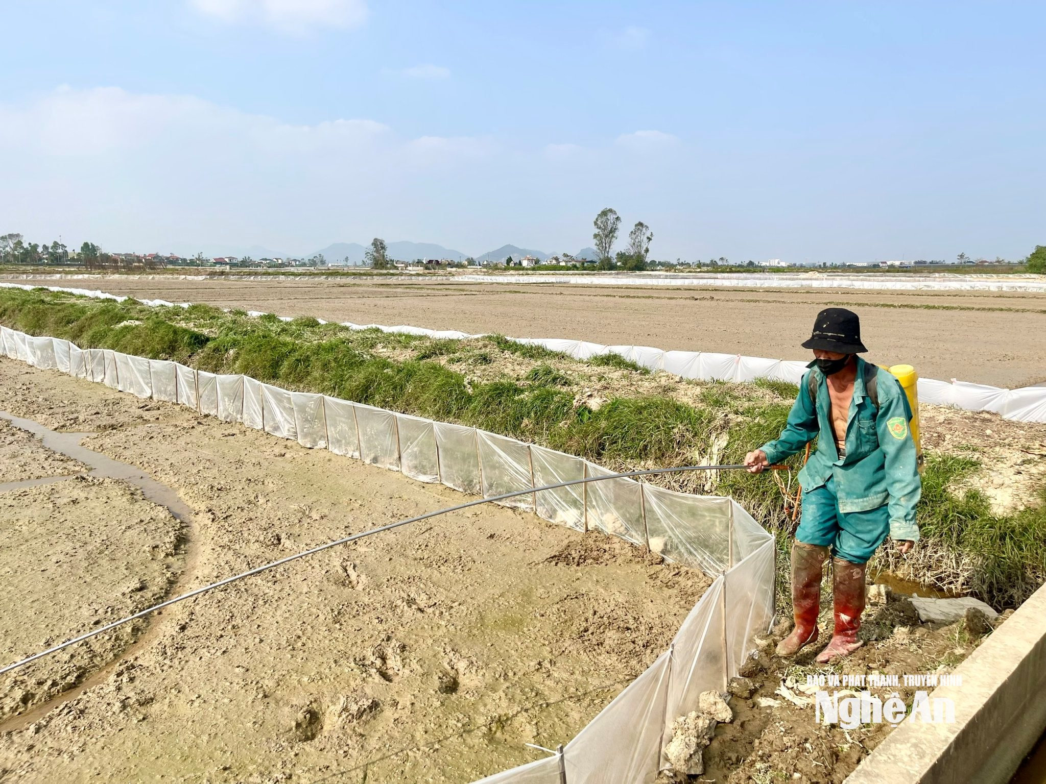 Nông dân xã Hưng Nguyên Nam phun thuốc diệt cỏ