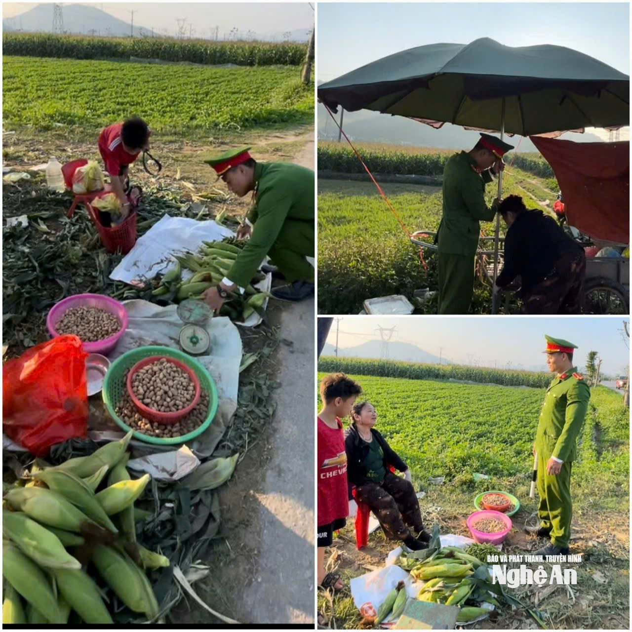 2.ảnh pv