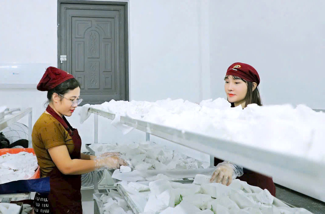 Một công đoạn sản xuất của HTX Dược liệu Phủ Quỳ. Ảnh: X.H