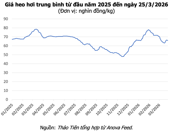 Hà Tĩnh triển khai các biện pháp kiểm soát dịch tả heo châu Phi trên địa bàn tỉnh