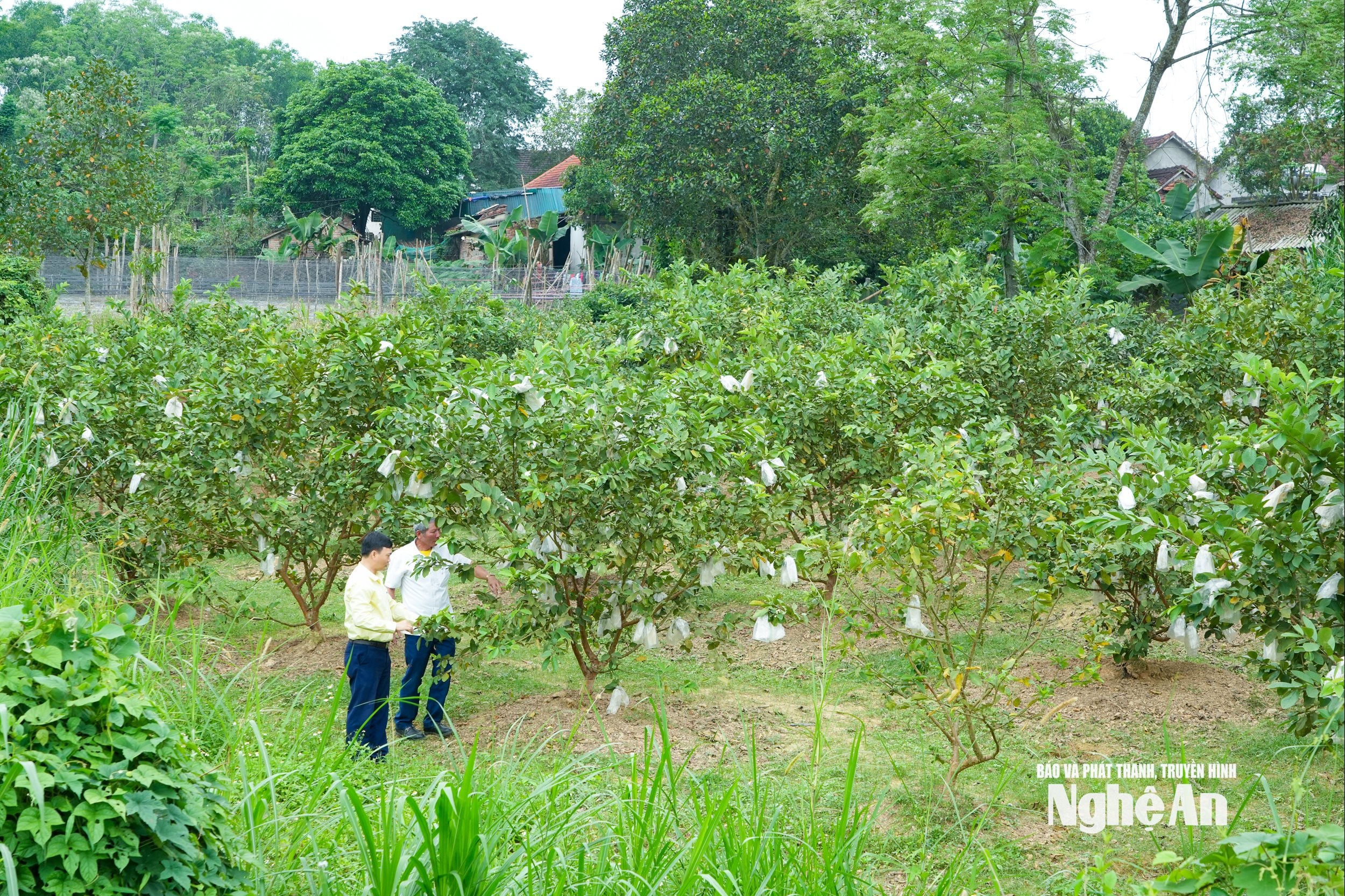 bna_oi04320.jpg