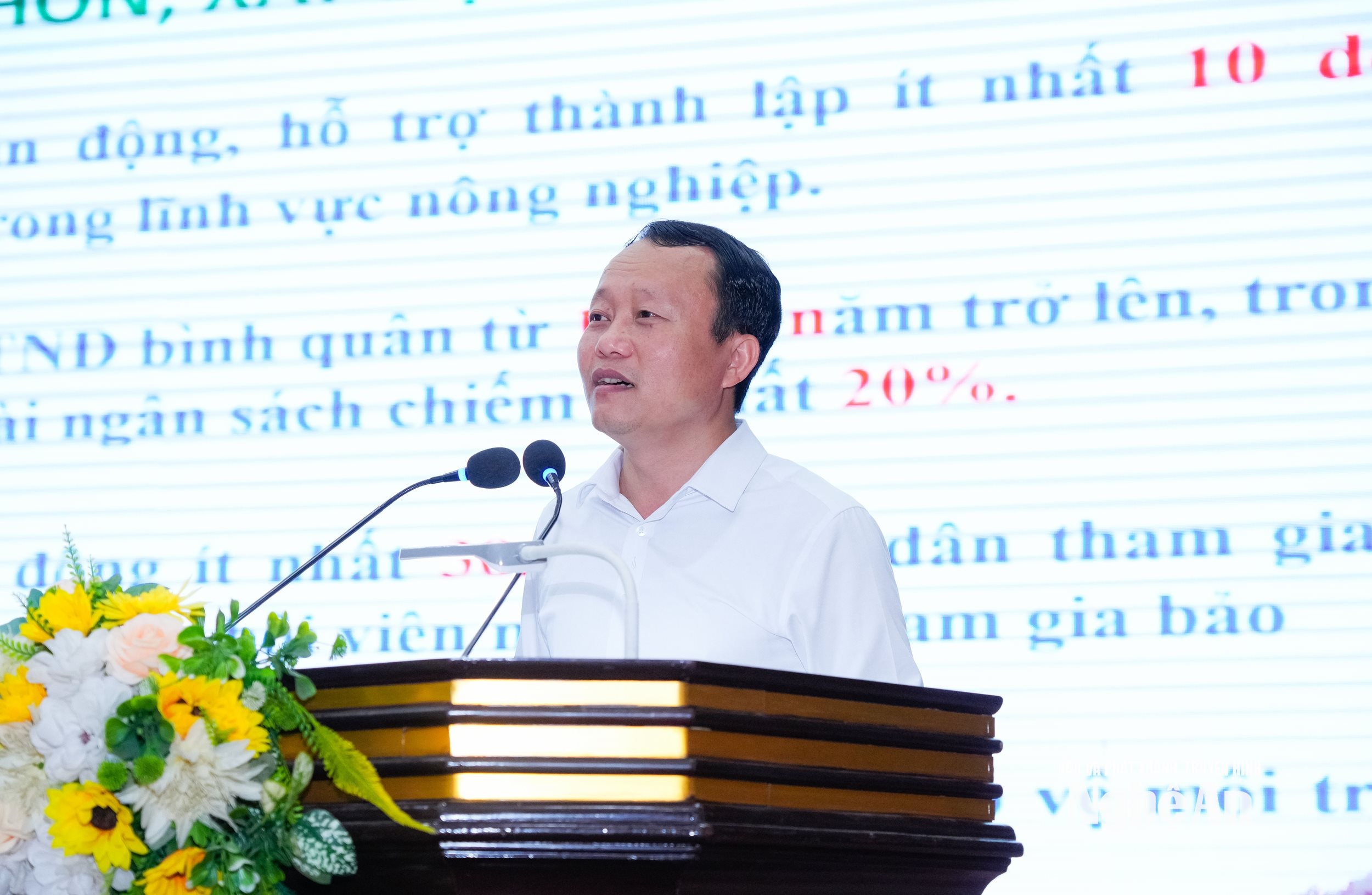  anh phong