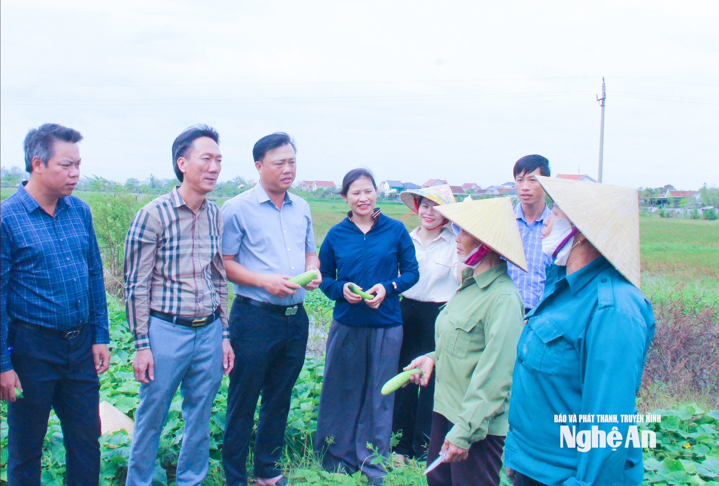  1Cán bộ xã Hưng Nguyên Nam khảo sát, đánh giá mô hình trồng dưa chuôt ngồi vụ đông. 