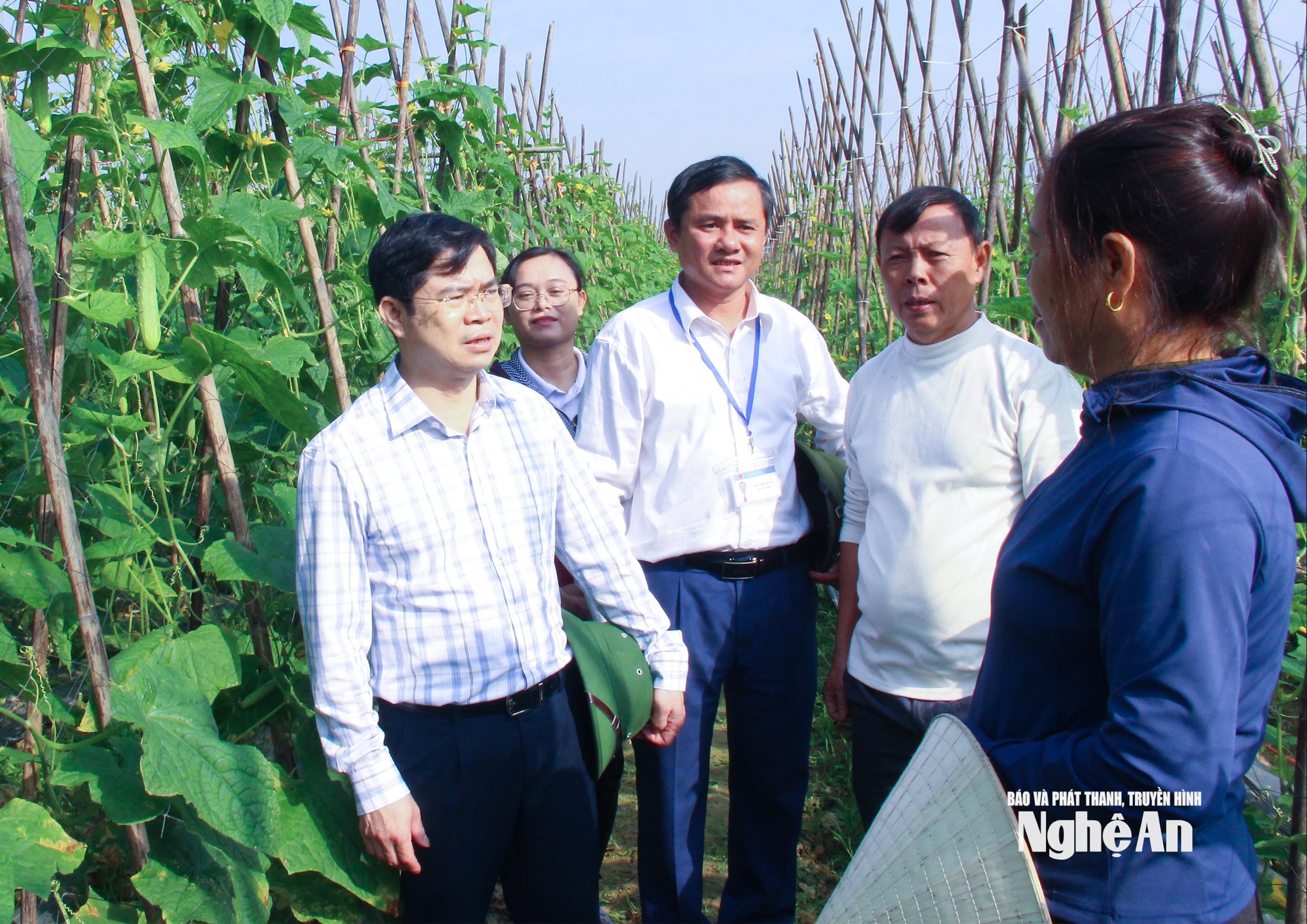  Lãnh đạo xã Đại Đồng kiểm tra việc triển khai thực hiện nghị quyết của chi bộ về sản xuất rau màu hàng hoá. Ảnh Mai Hoa
