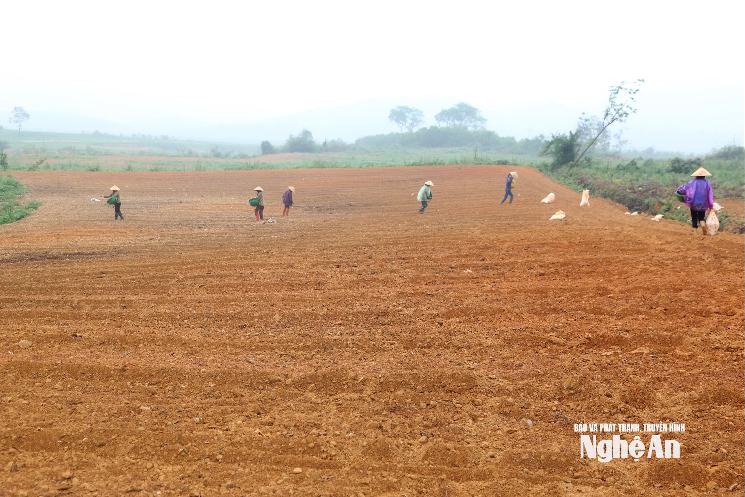 ໝາກນັດ 4 (1)