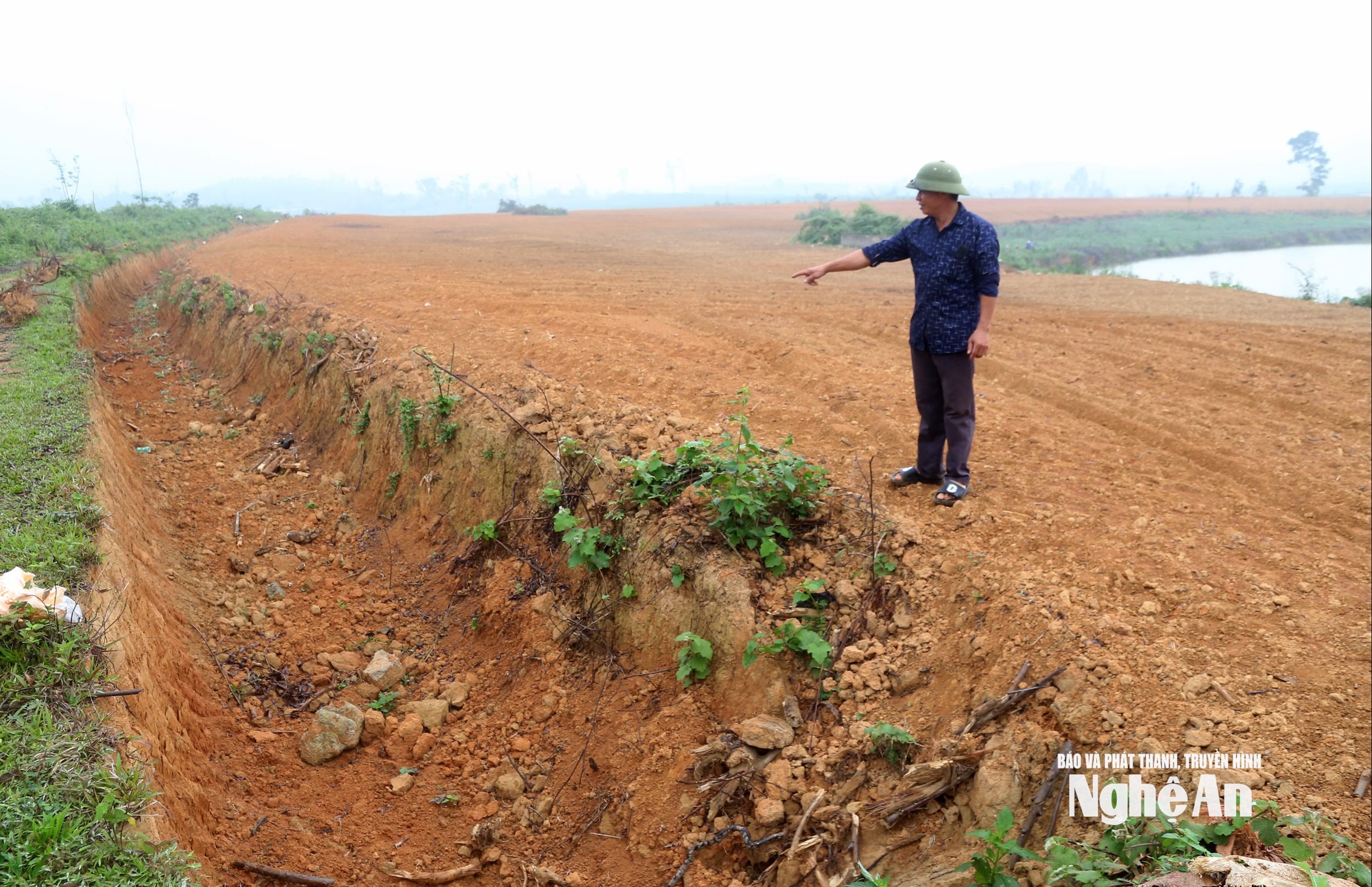 ໝາກນັດ 7 (2)