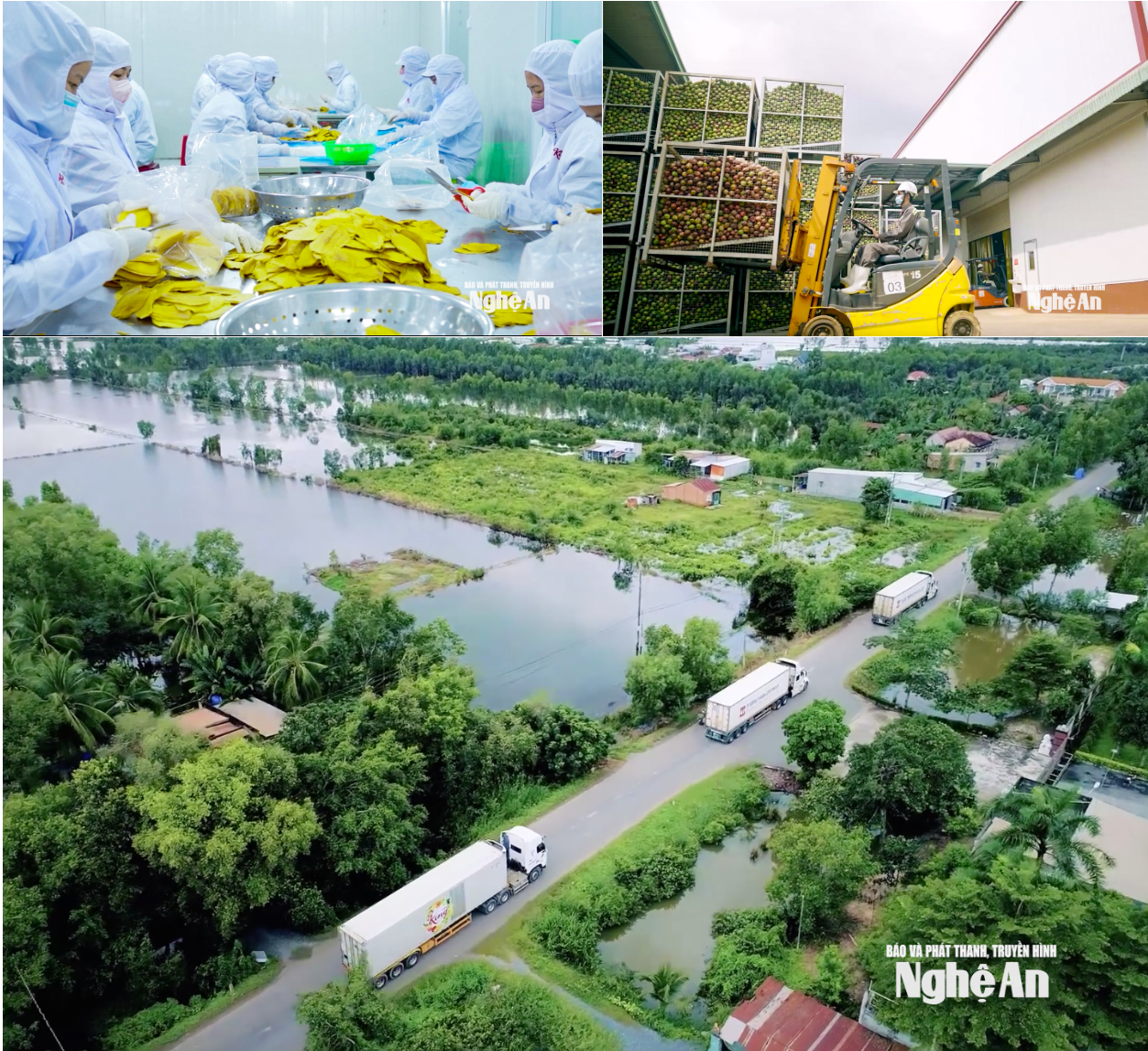 Screenshot 2026-03-30 081118