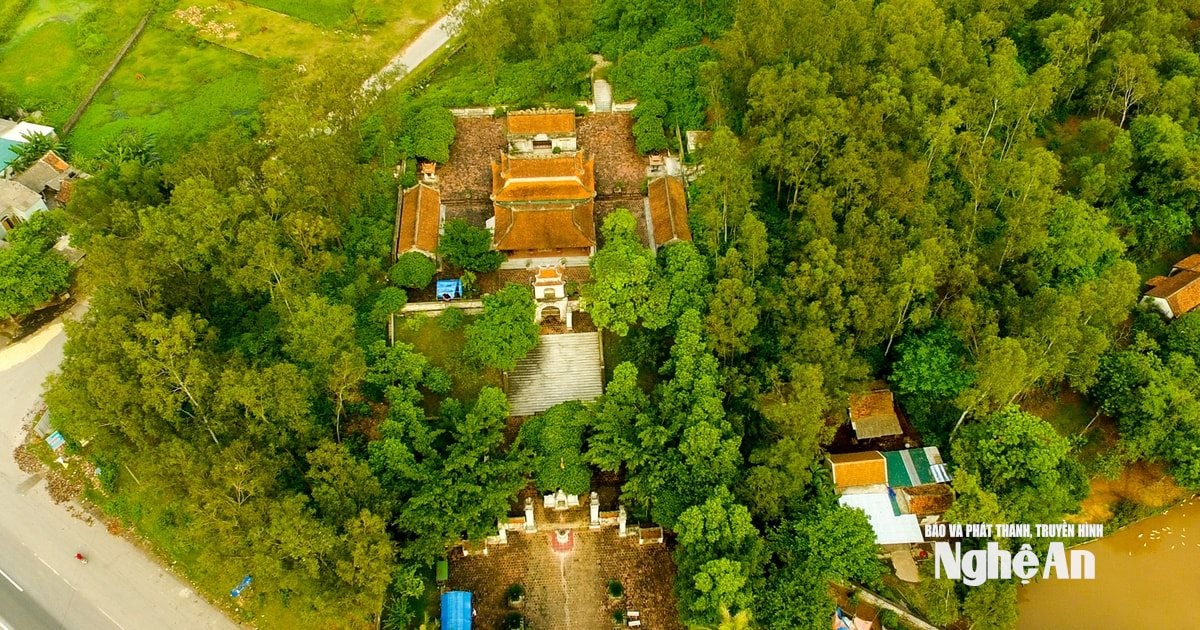 Toàn cảnh Đền Cuông Ảnh Sách Nguyễn