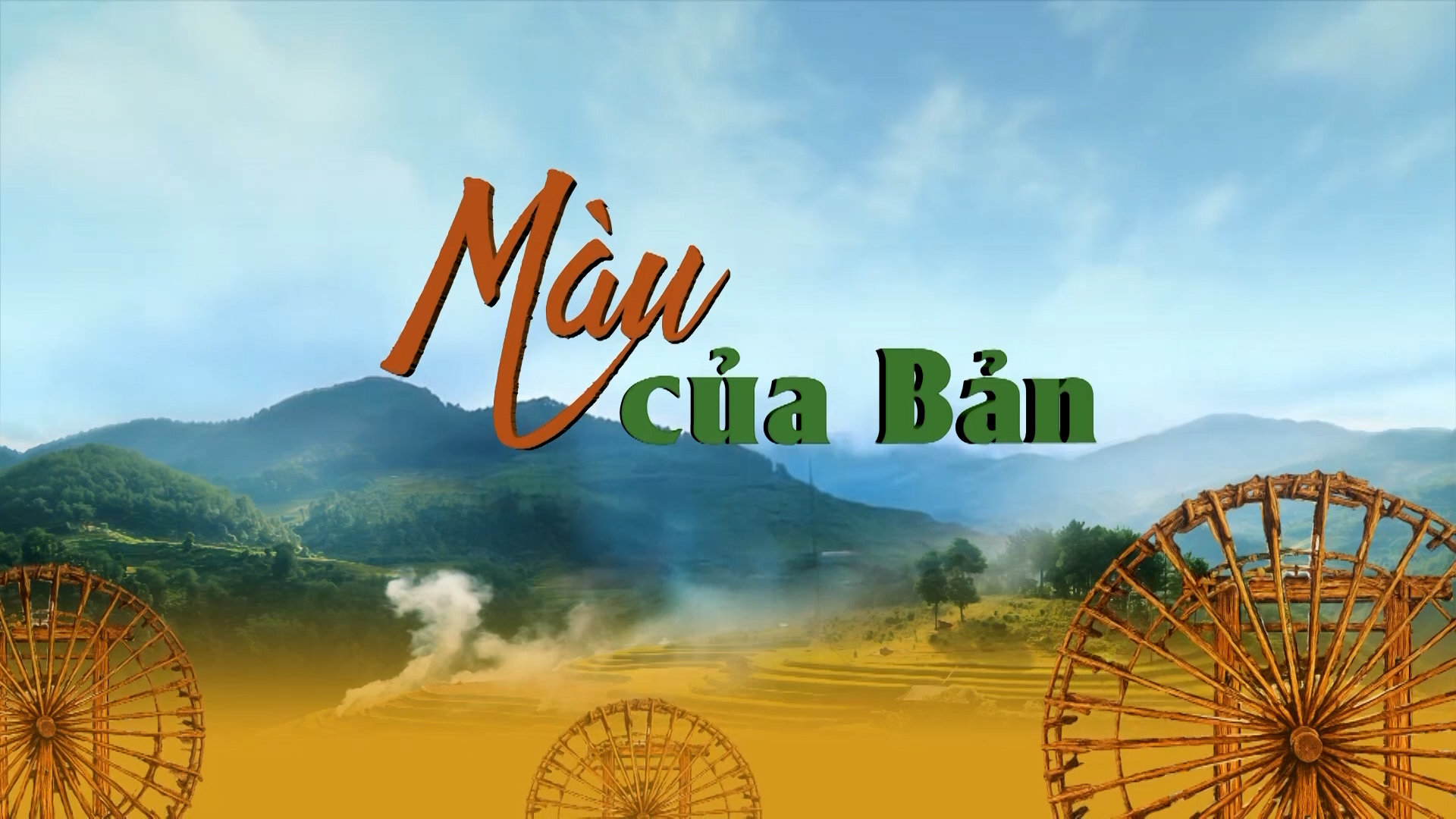 HH Mau cua ban