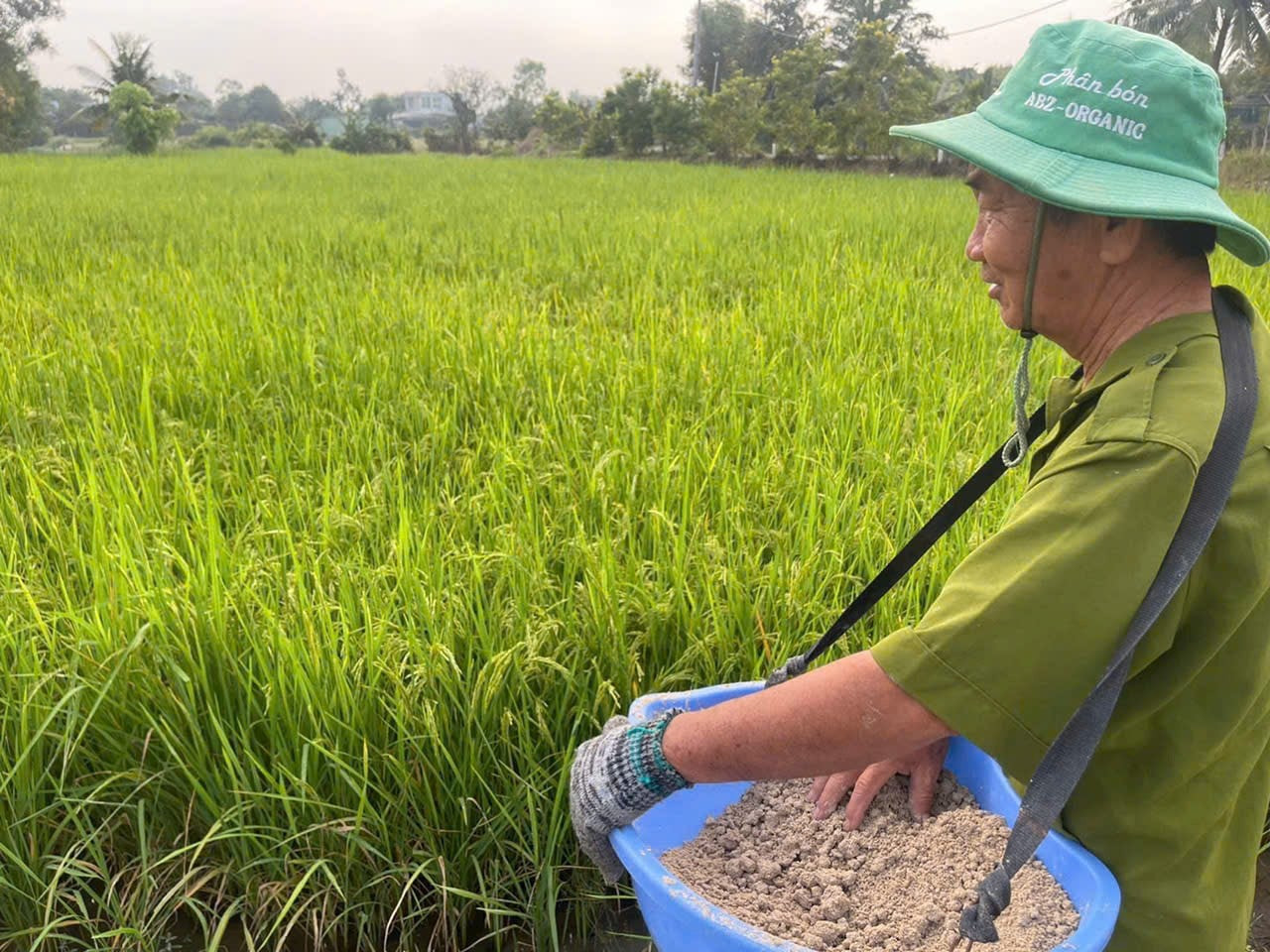 Giá phân bón hôm nay 3/4/2026: Thị trường đi ngang