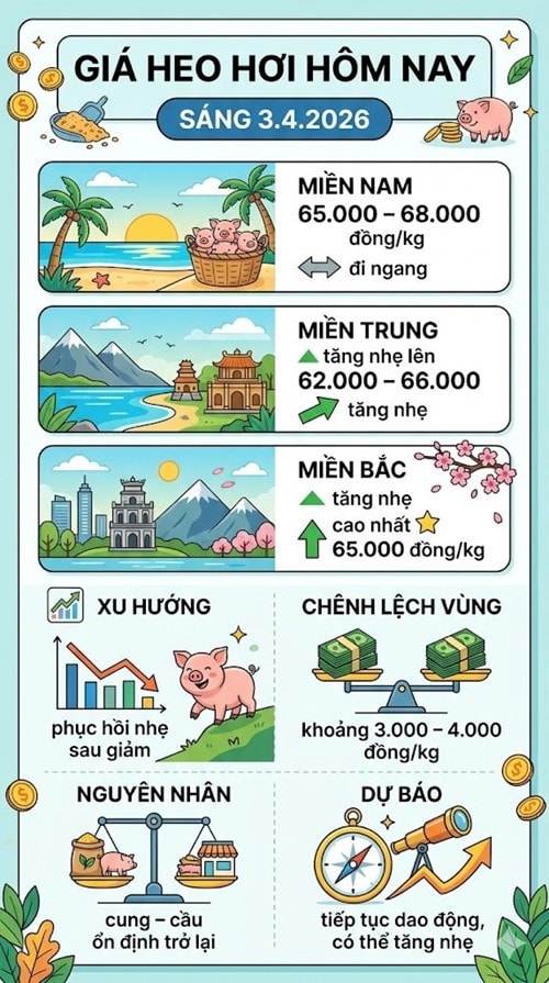 Thị trường heo hơi ngày 3.4 ghi nhận xu hướng phục hồi nhẹ tại khu vực miền Bắc và miền Trung