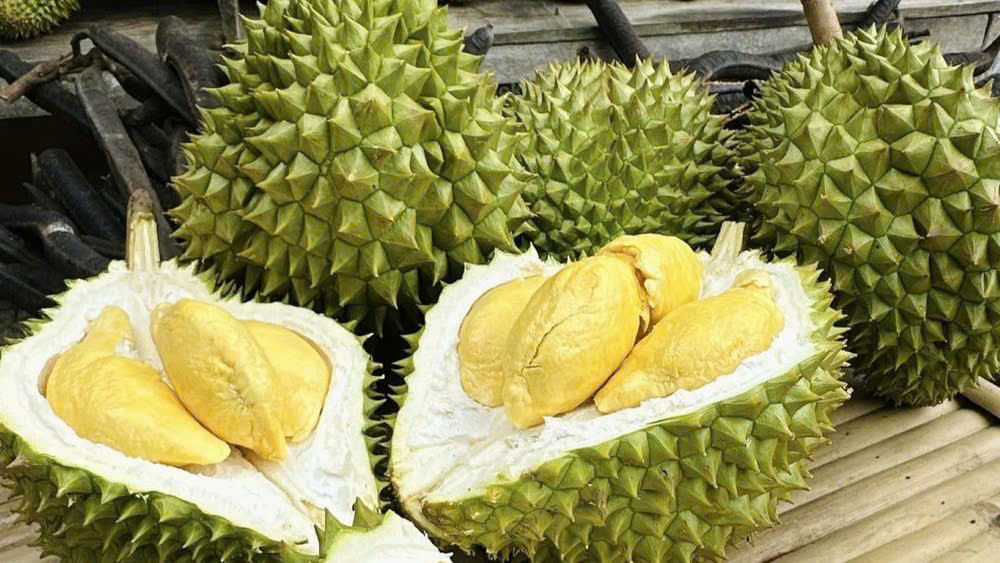 Giá sầu riêng 3/4: Đi ngang, RI6 55.000–60.000 đồng/kg