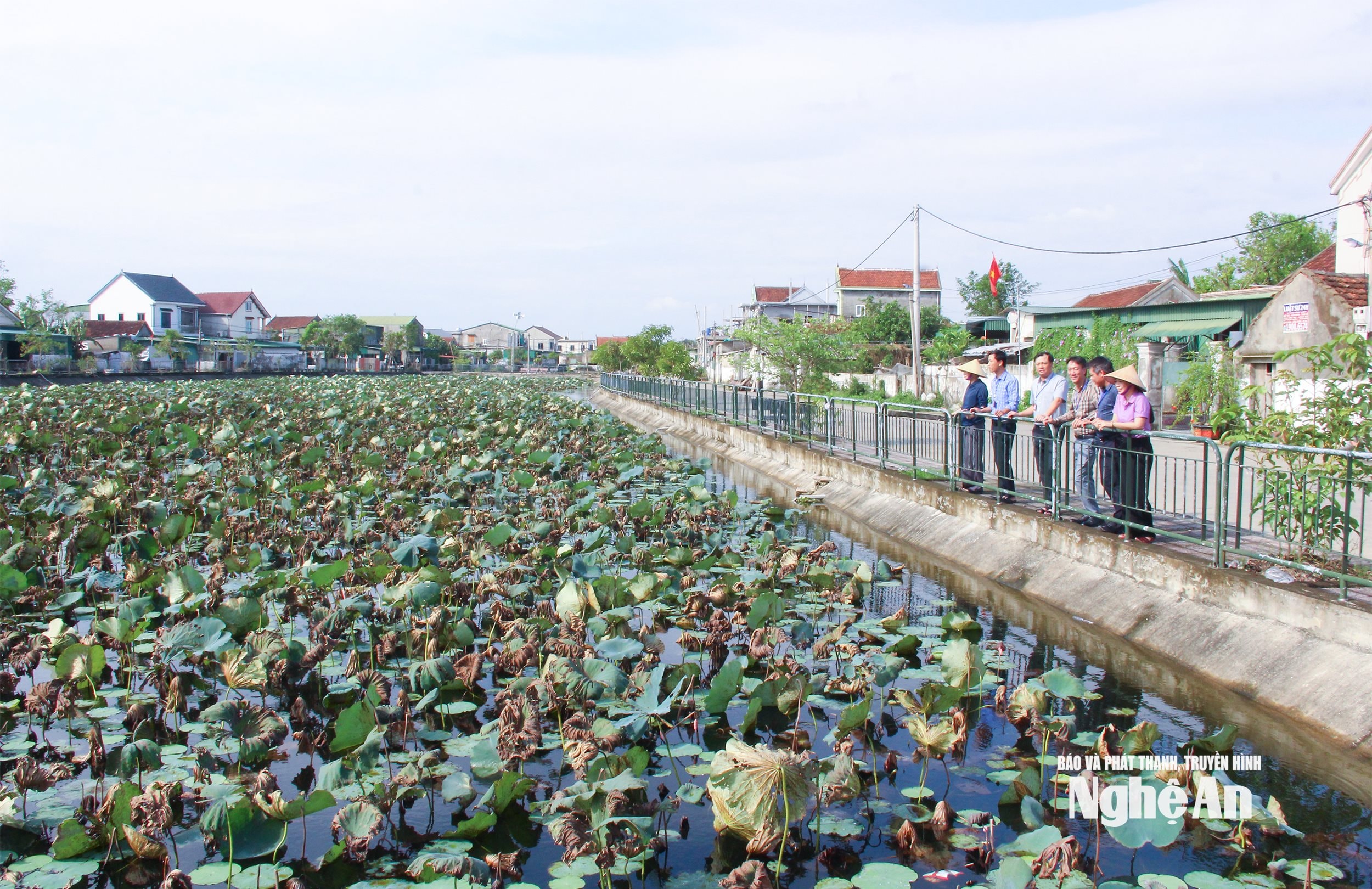  Không gian nông thôn mới xã Hưng Nguyên Nam được quan tâm đầu tư khang trang, hiện đại. Ảnh Mai Hoa