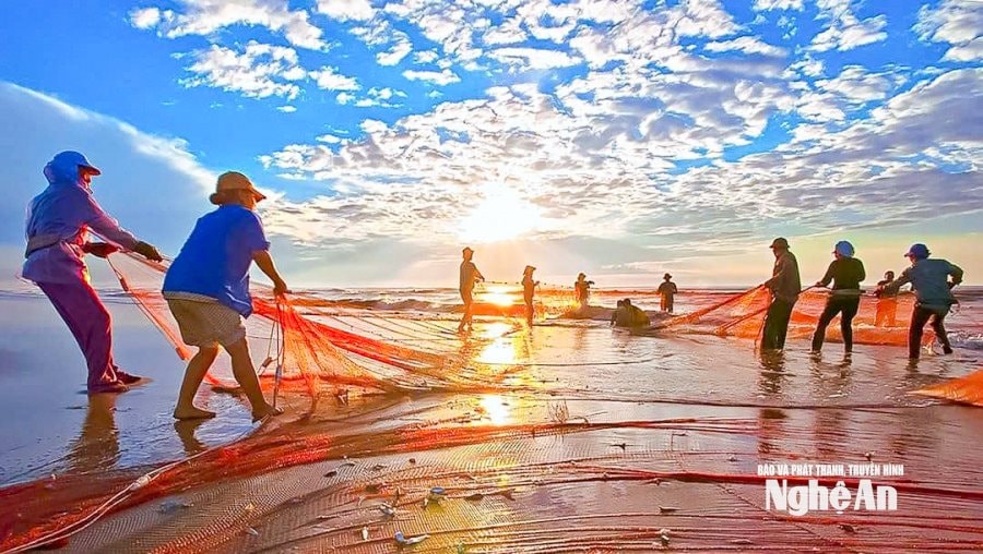 Ngư dân Cửa Lò kéo lưới trên bãi biển.