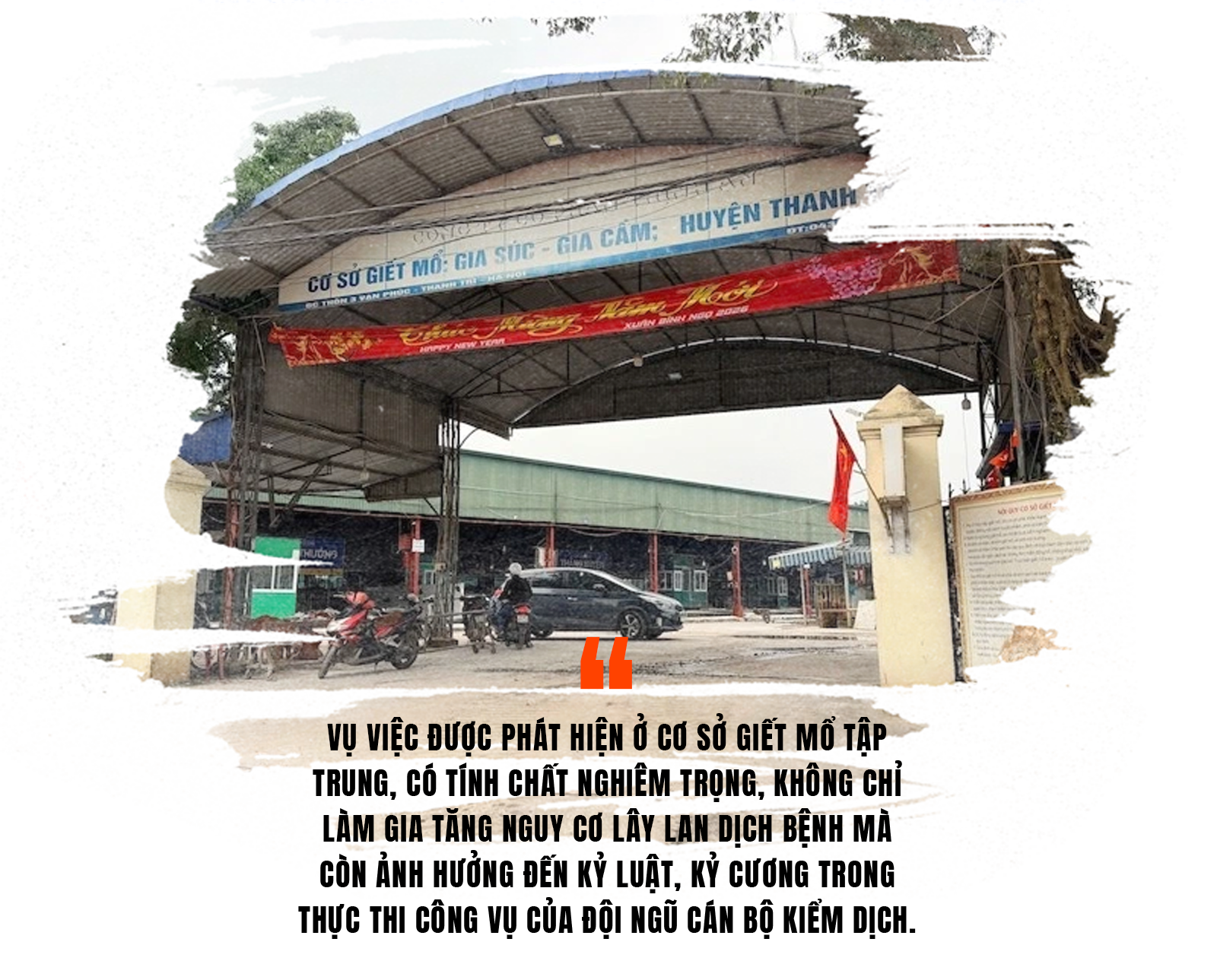 lohonggiamsat-a1(1).png