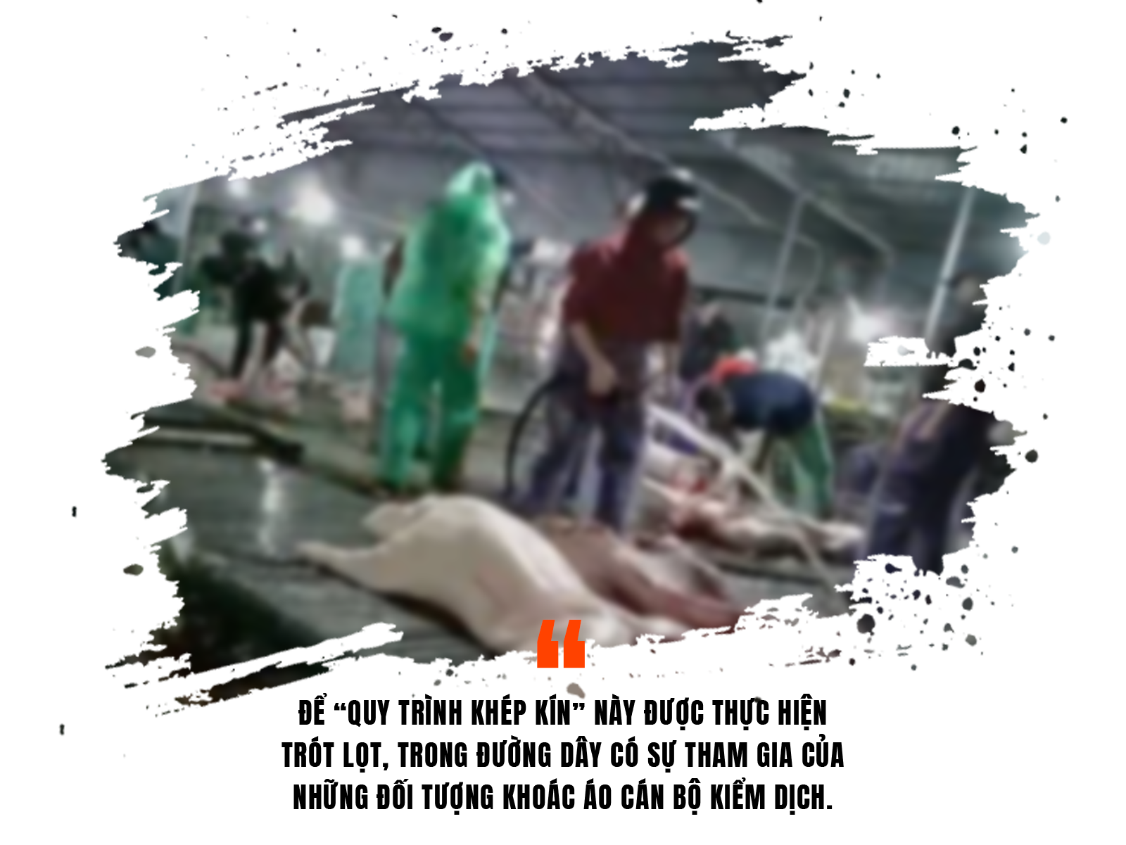 lohonggiamsat-a2.png