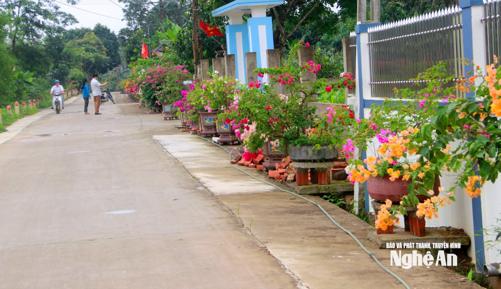 Nhiều địa phương trên địa bàn tỉnhchú trọng kiến tạo không gian xanh, tạo môi trường sống trong lành, mát mẻ. Ảnh: Xuân Hoàng