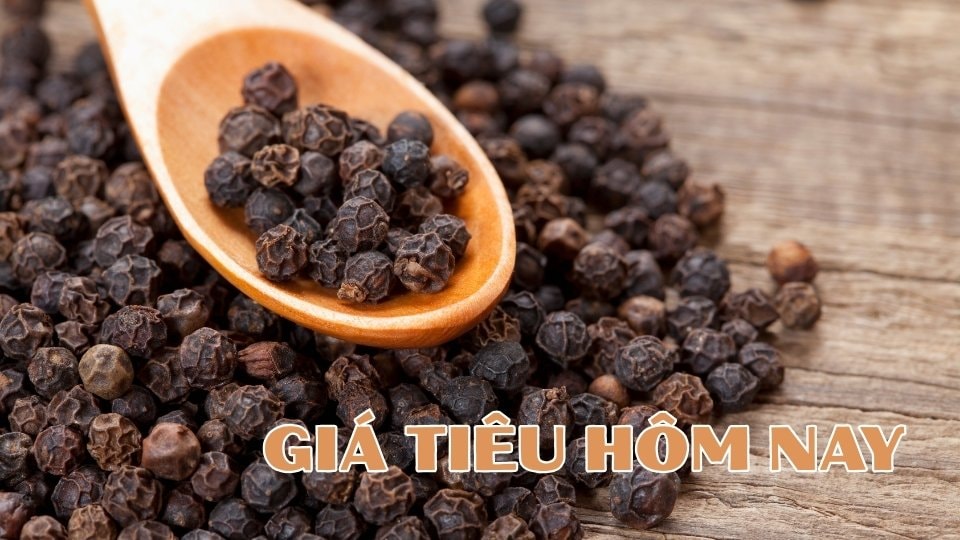 Giá tiêu hôm nay 6/4/2026: Xuất khẩu quý I tăng mạnh 39%