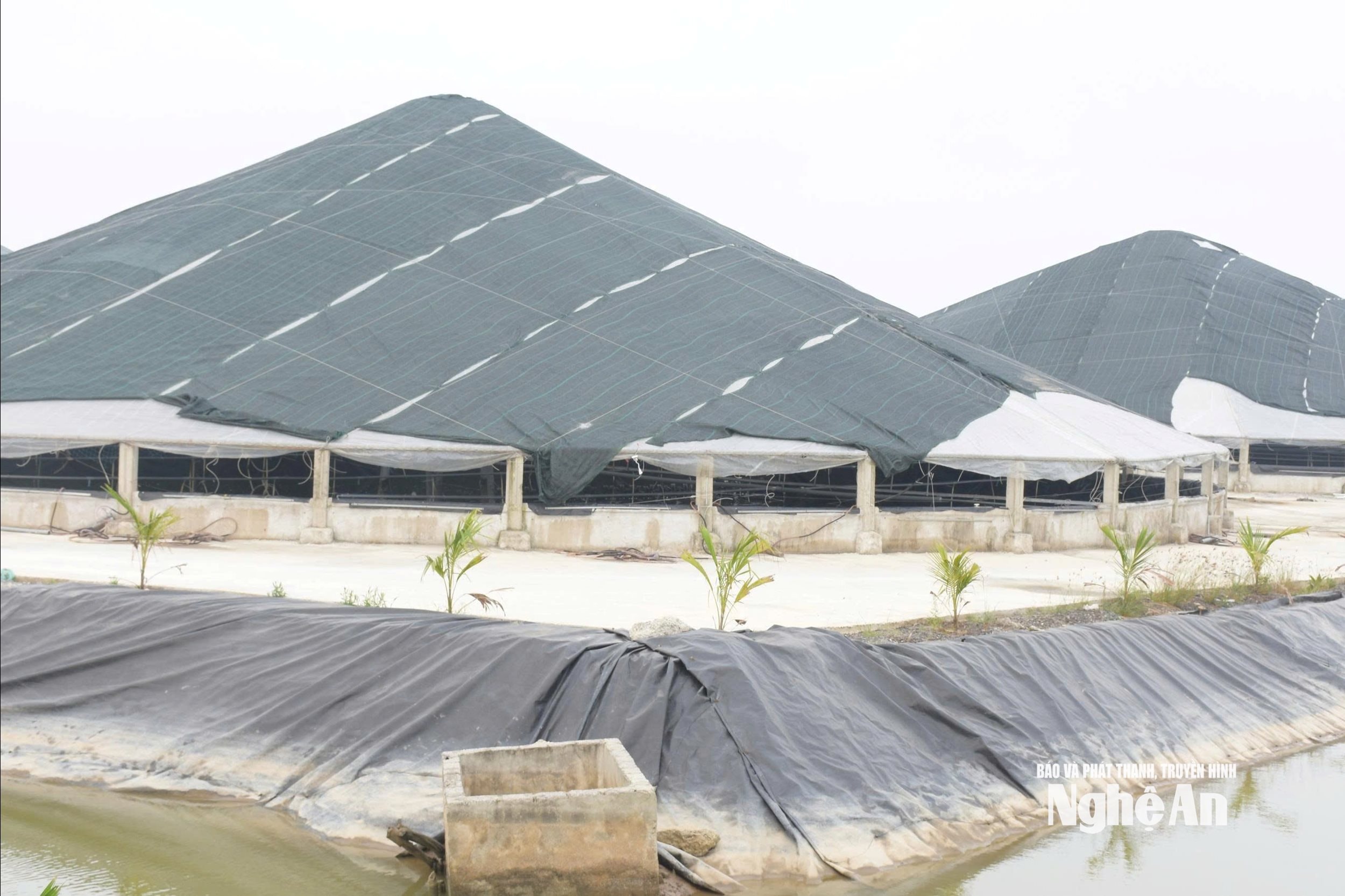 chống nắng7706856321346_1727b5de4124e1ed88994e8ff35a5a95