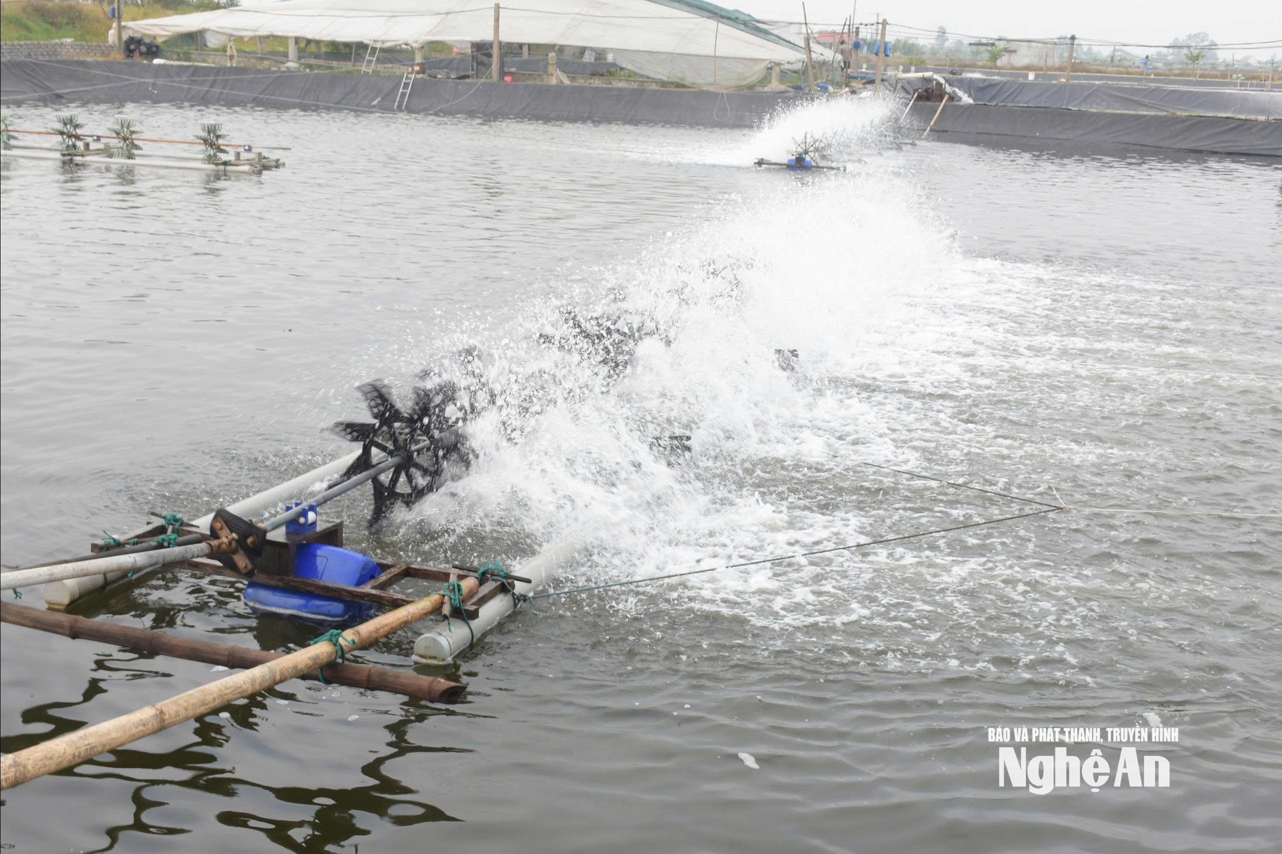 chống nắng7706856673503_d555fe66ef1aa7dc5cf13b2c18cd0902