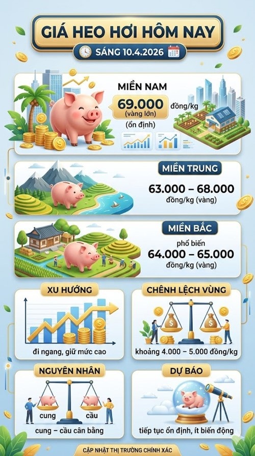 Giá heo hơi ngày 10/4 cho thấy thị trường đang trong giai đoạn ổn định với mặt bằng giá cao