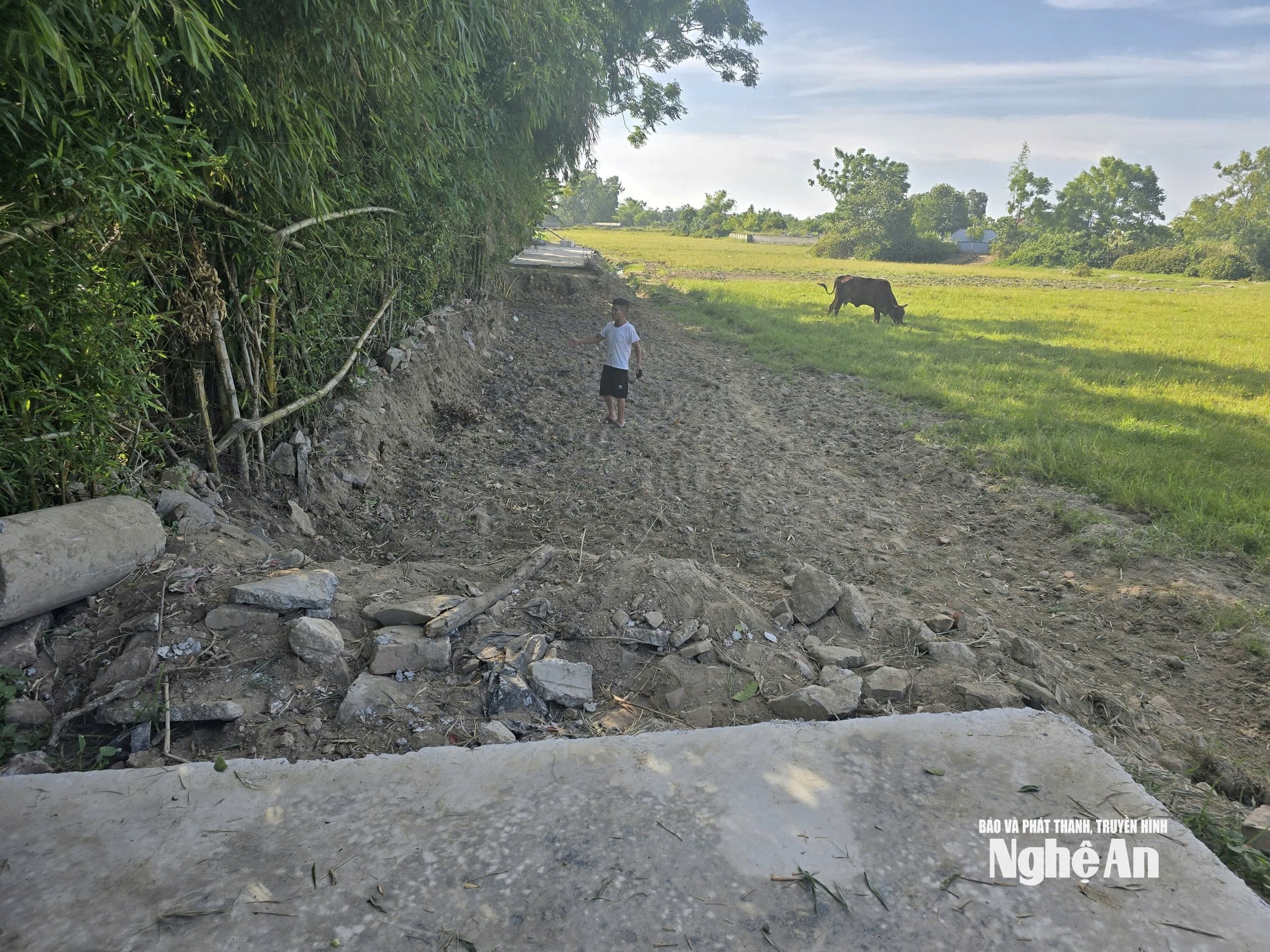 bna_duong-3.jpg